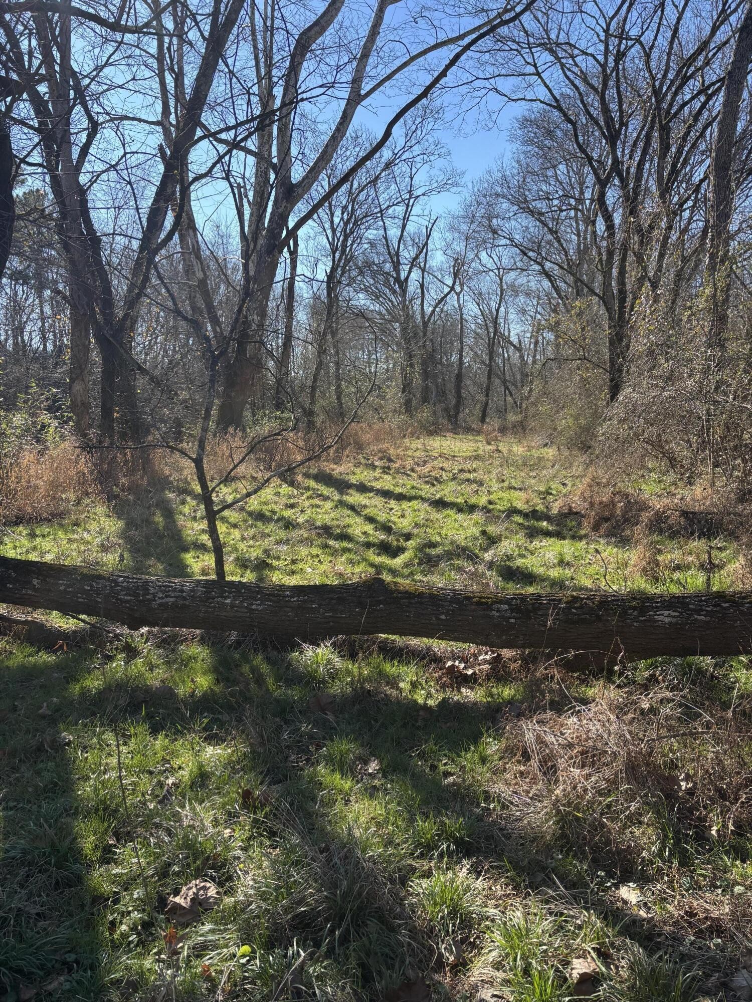 23480 U.s. 127 Dunlap TN 37327