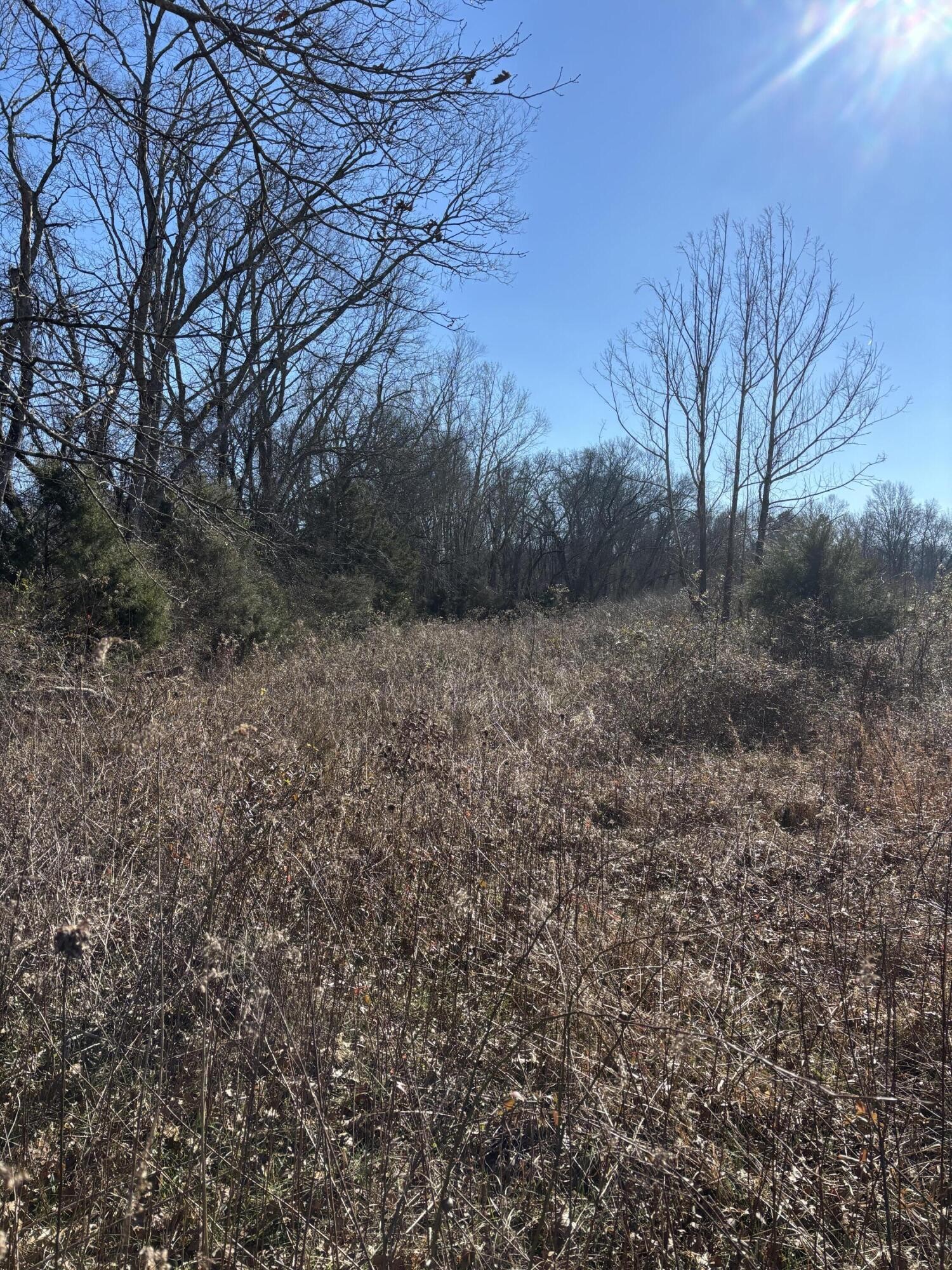 23480 U.s. 127 Dunlap TN 37327