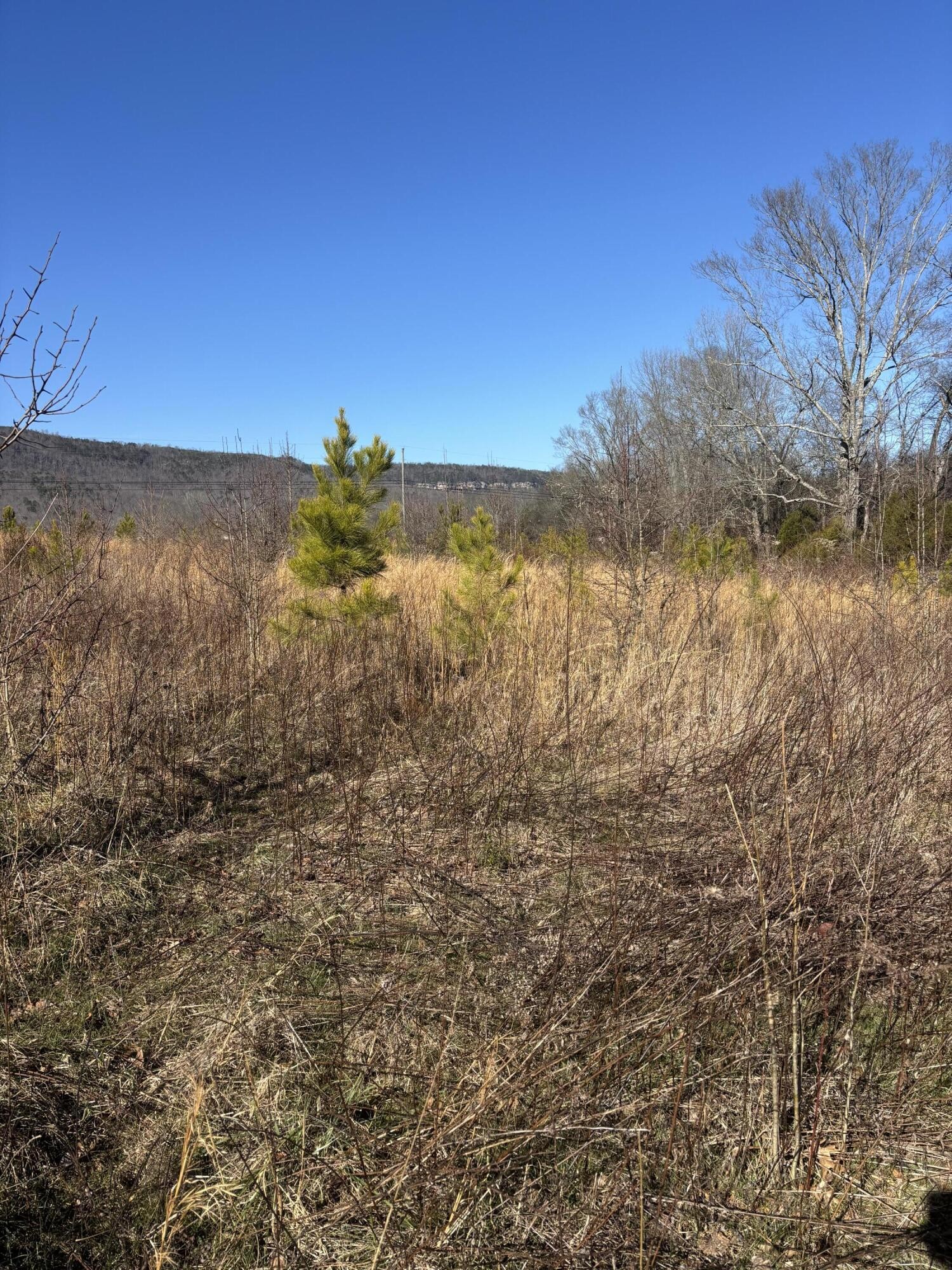 23480 U.s. 127 Dunlap TN 37327