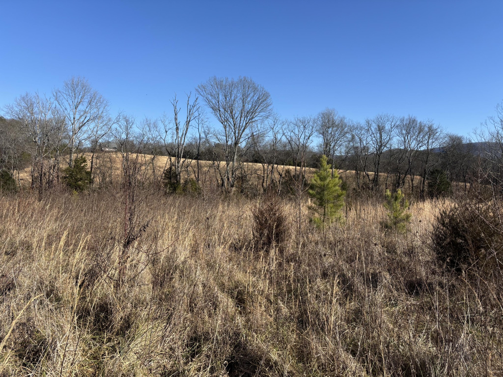 23480 U.s. 127 Dunlap TN 37327