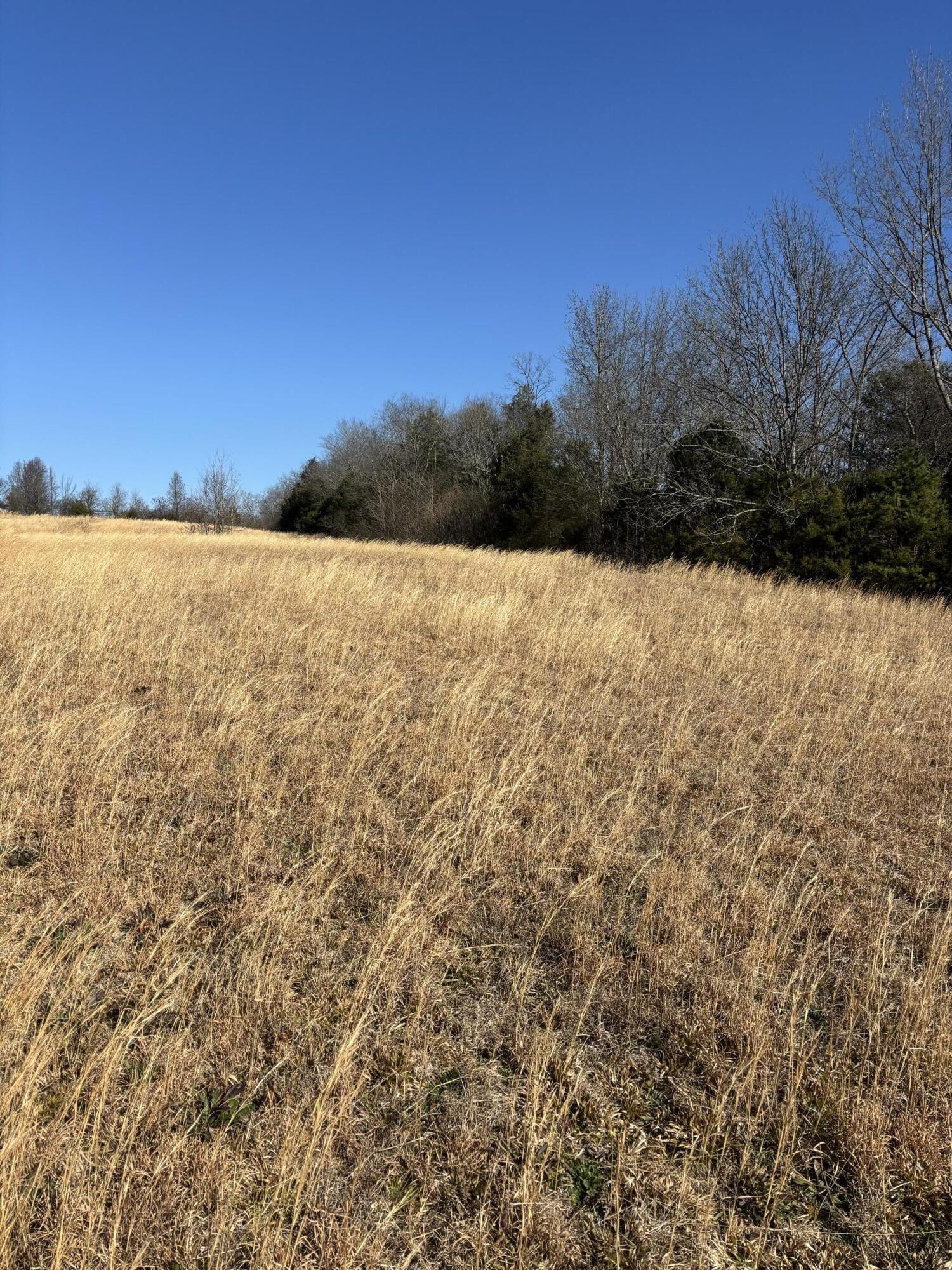 23480 U.s. 127 Dunlap TN 37327