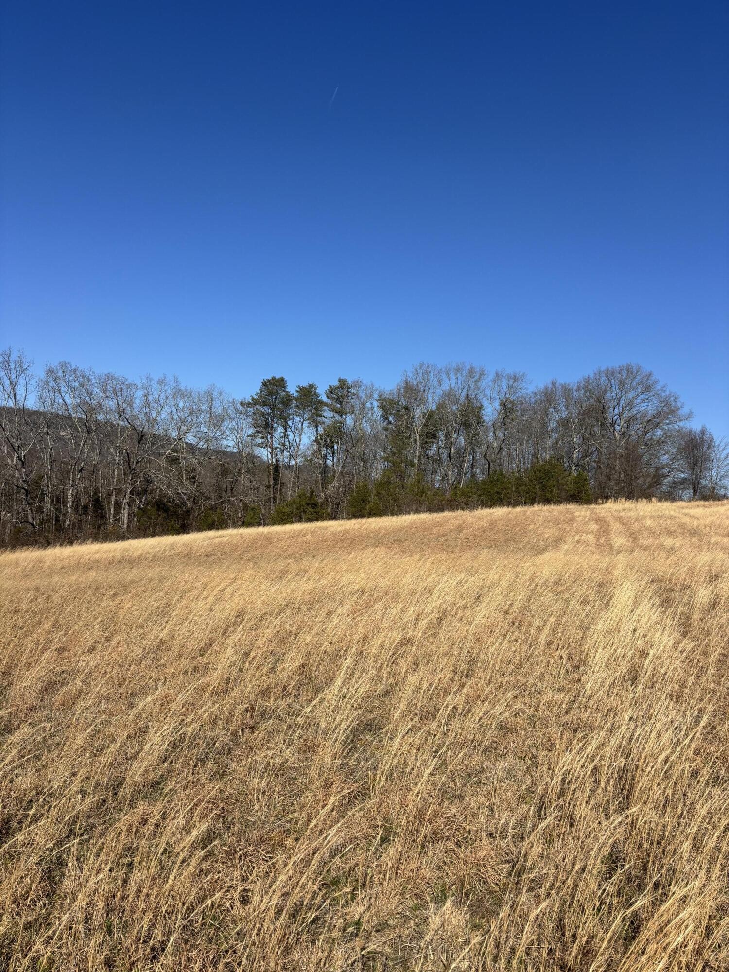 23480 U.s. 127 Dunlap TN 37327