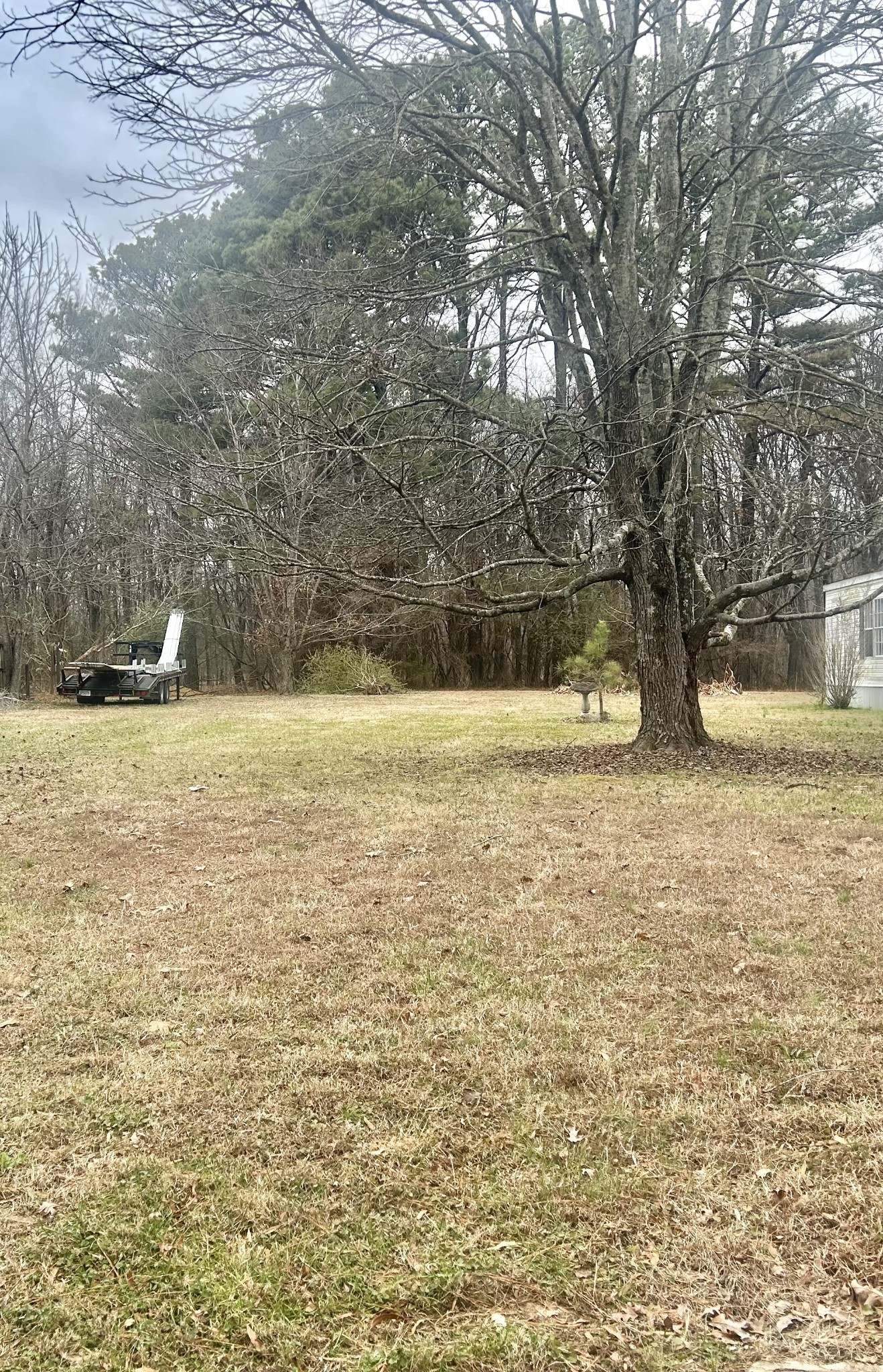 0 Grundy Street, E Tullahoma TN 37388