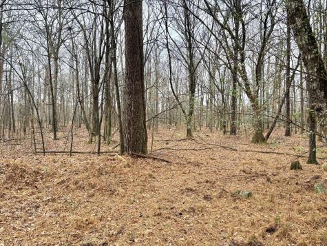 0 Grundy Street, E Tullahoma TN 37388