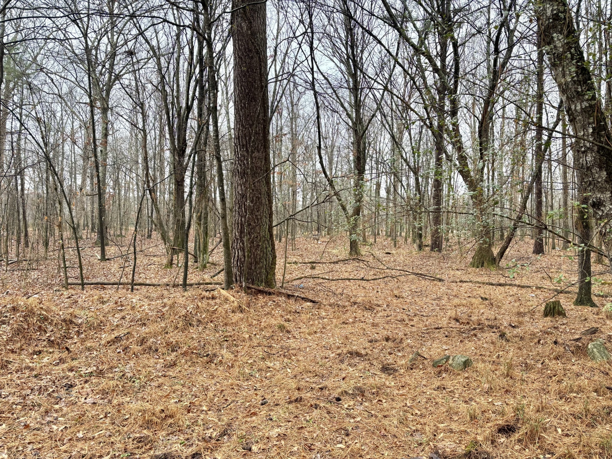 0 Grundy Street, E Tullahoma TN 37388