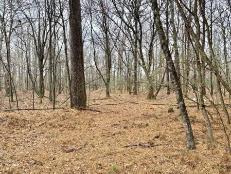 0 Grundy Street, E Tullahoma TN 37388