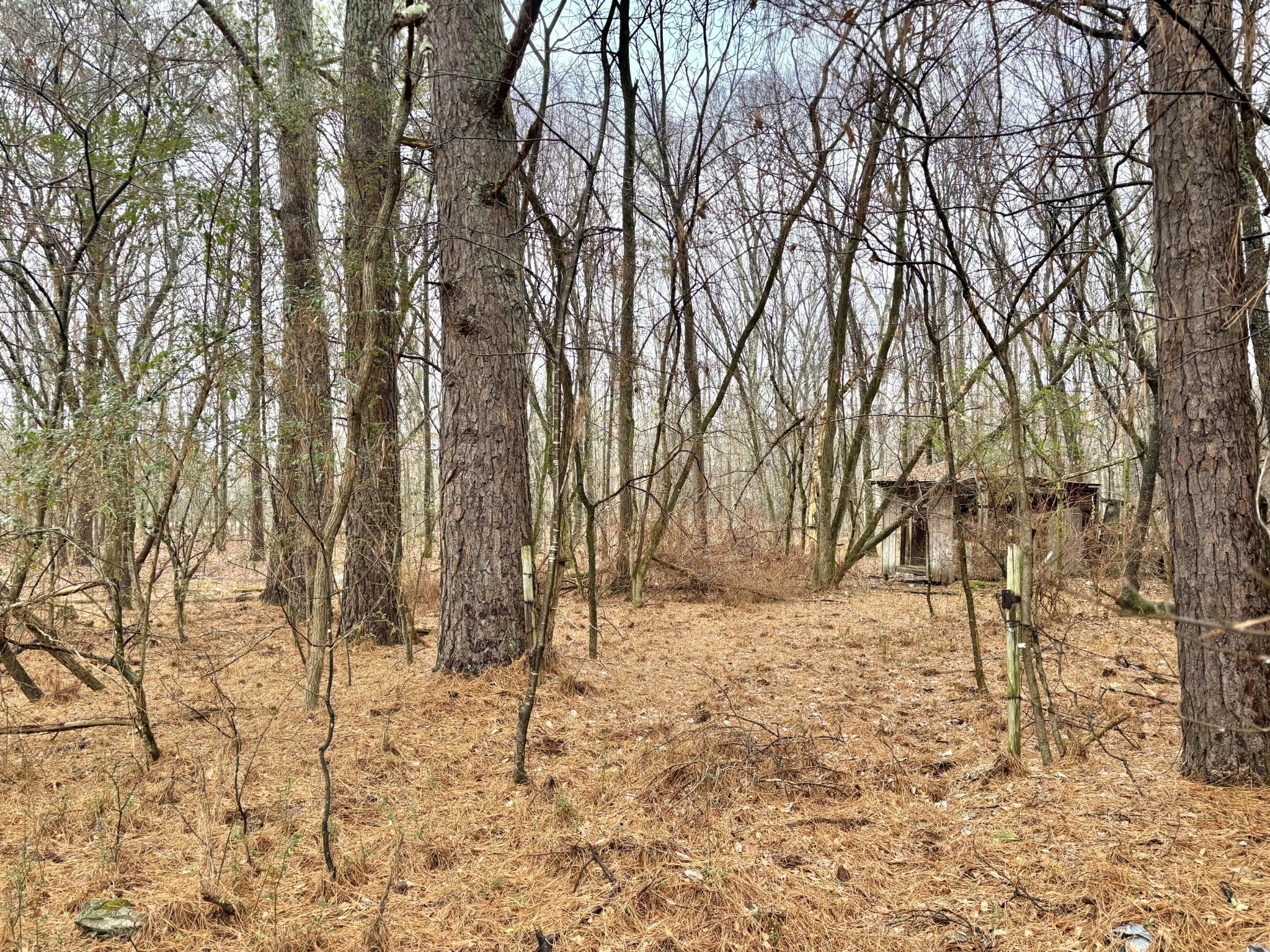 0 Grundy Street, E Tullahoma TN 37388