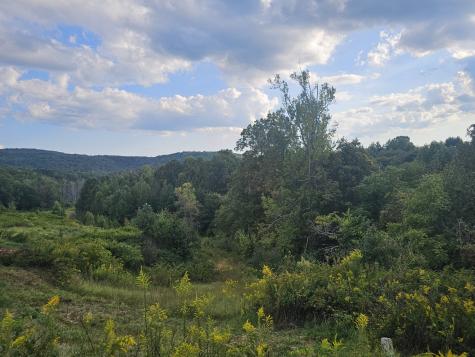 1970 Rock Avenue Palmer TN 37365