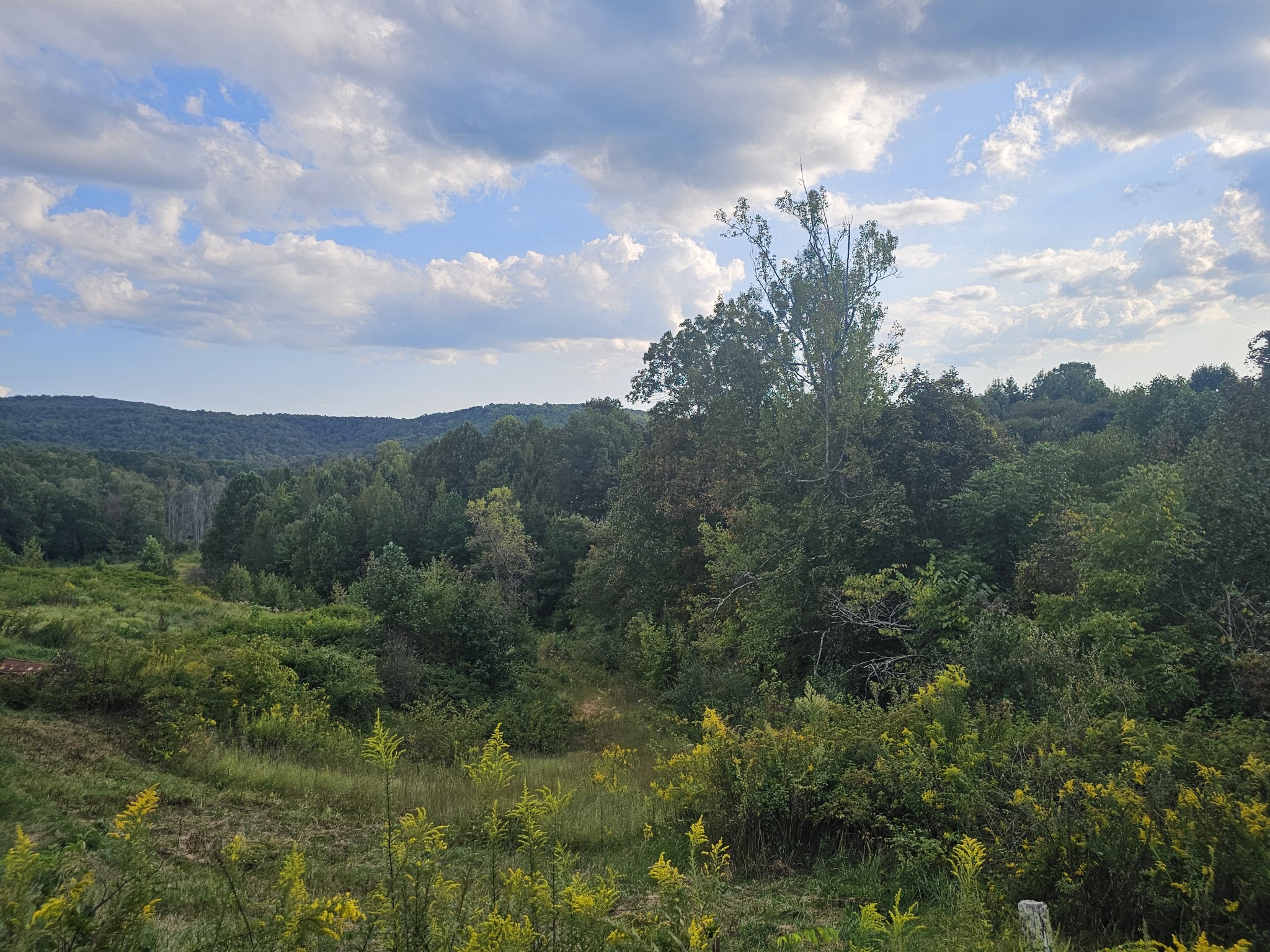 1970 Rock Avenue Palmer TN 37365