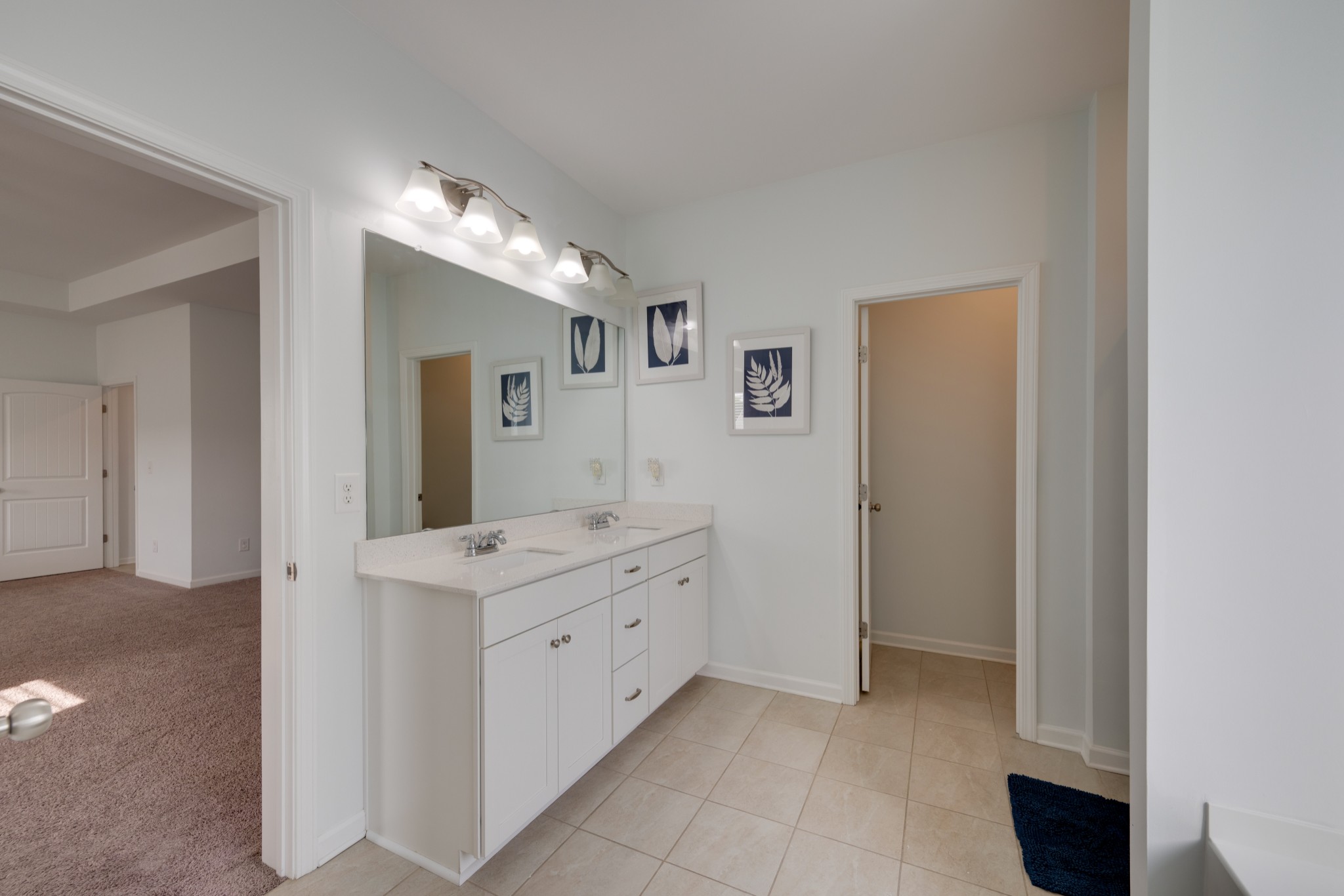 315 Petunia Drive Smyrna TN 37167