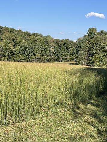 425 Nim Road Red Boiling Springs TN 37150