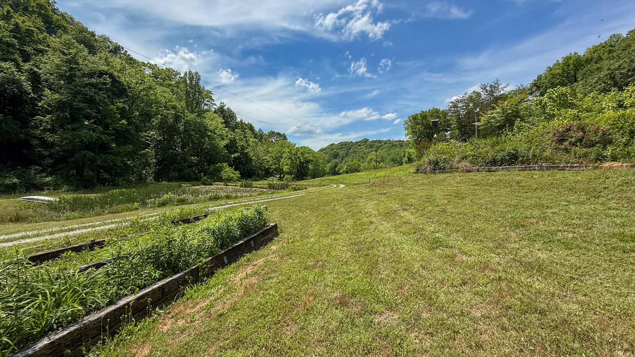 143 Buford Hughey Road Dellrose TN 38453