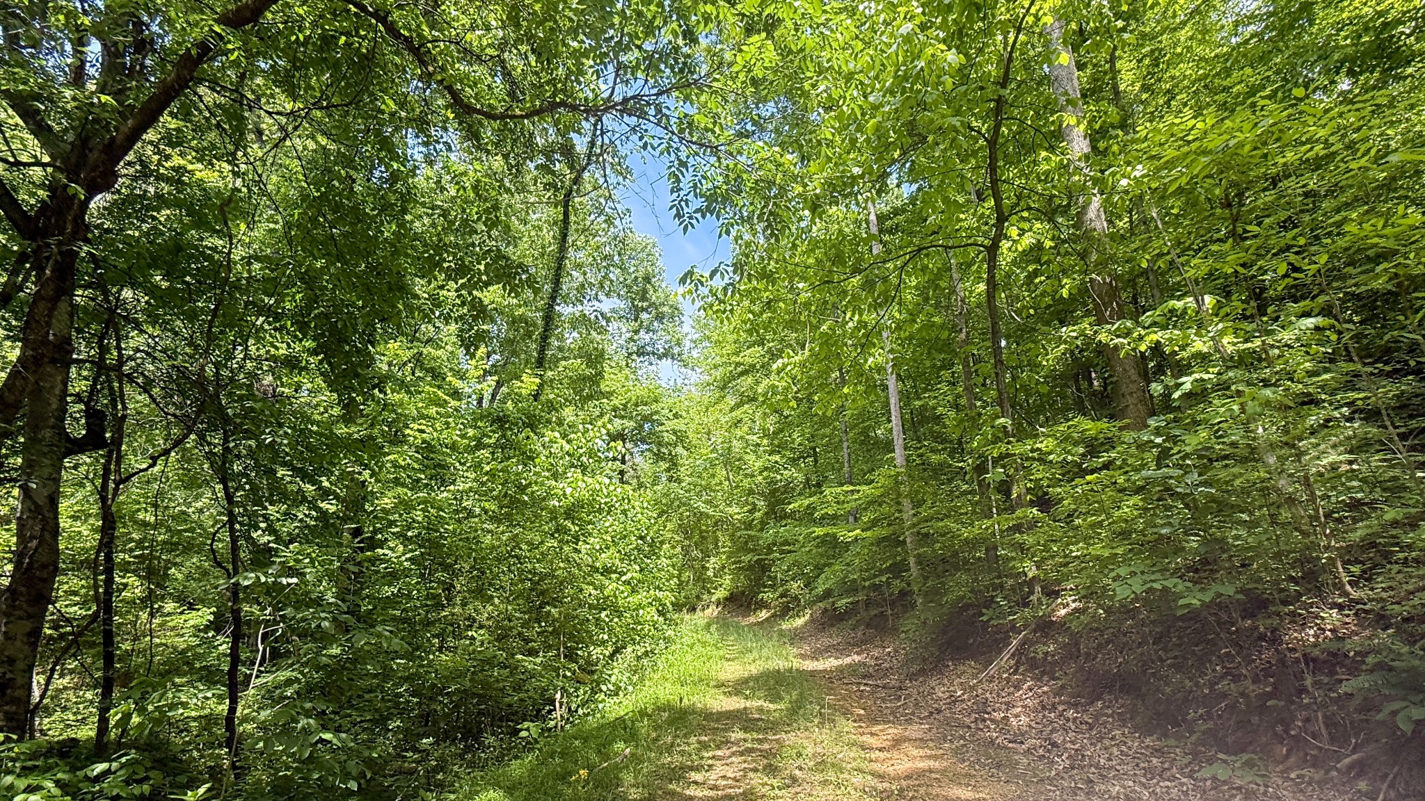 143 Buford Hughey Road Dellrose TN 38453