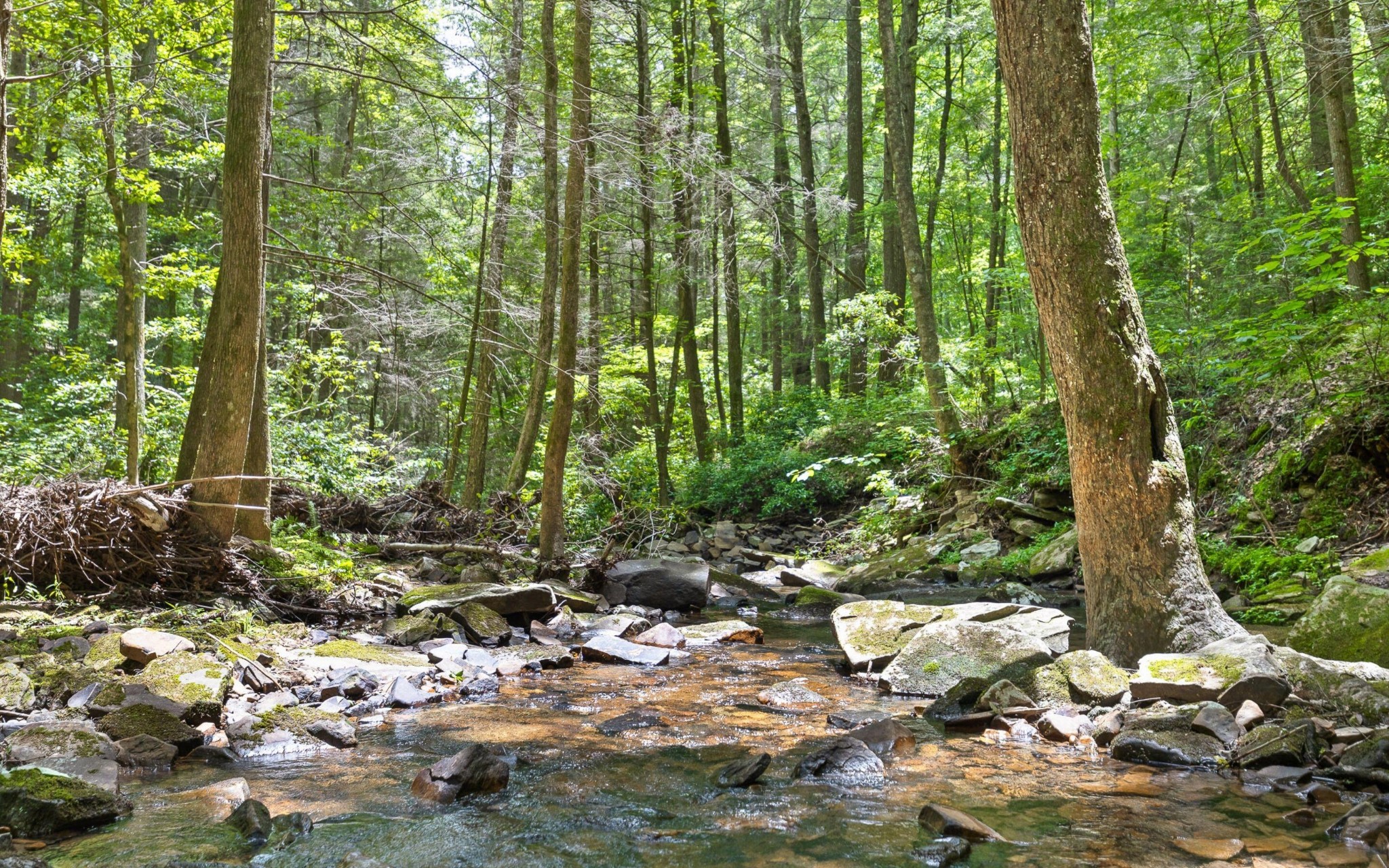 547 Wilderness Way Dunlap TN 37327