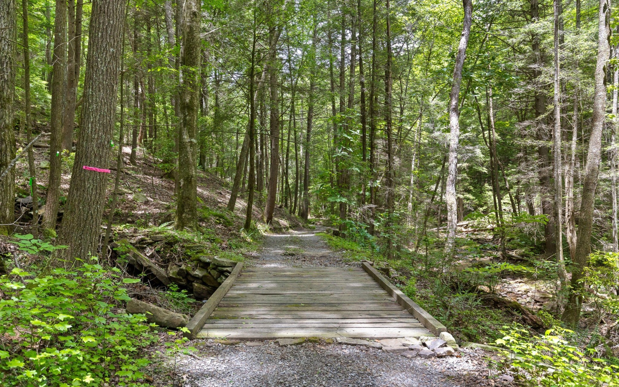 547 Wilderness Way Dunlap TN 37327
