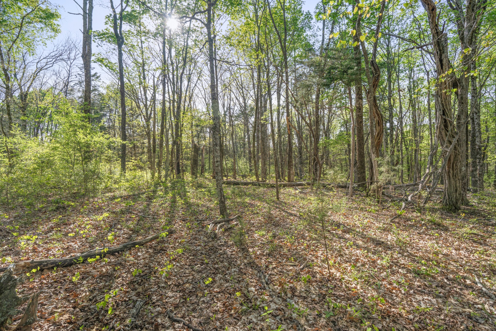 11065 Franklin Road Murfreesboro TN 37128