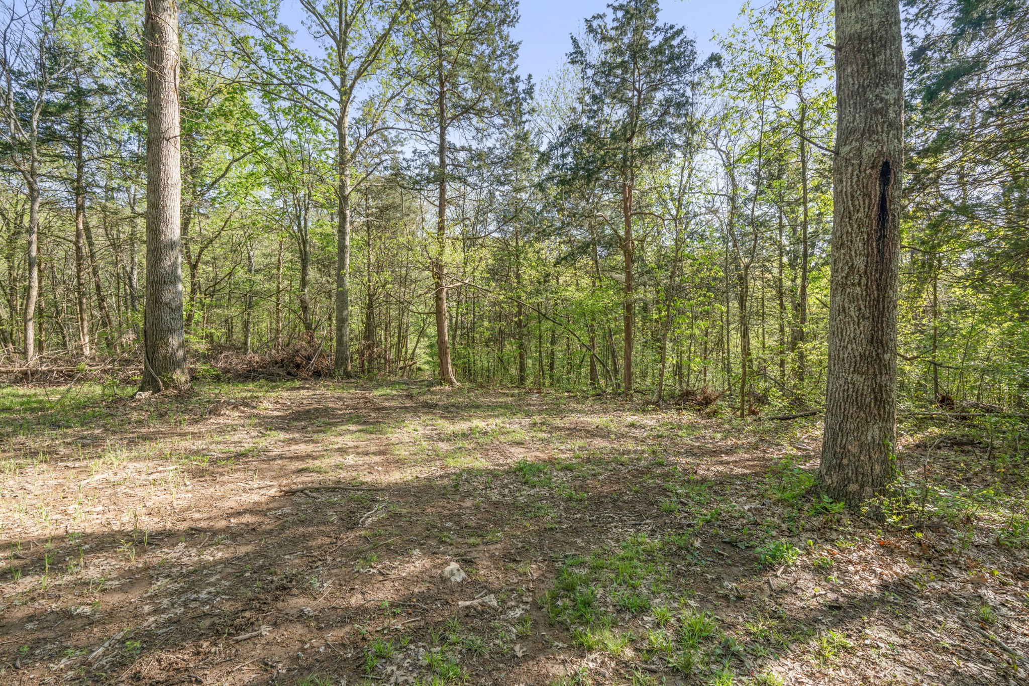 11065 Franklin Road Murfreesboro TN 37128