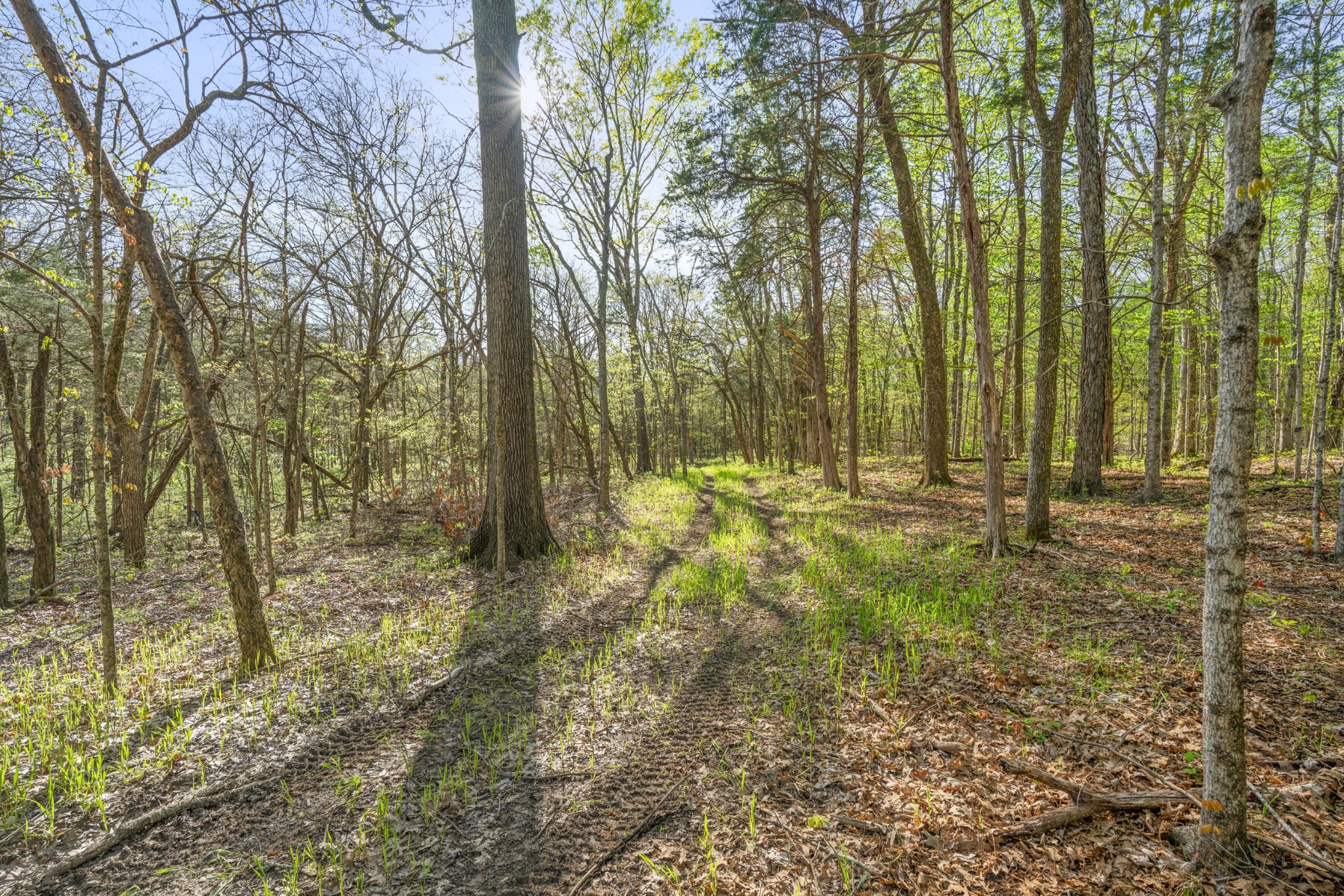 11065 Franklin Road Murfreesboro TN 37128