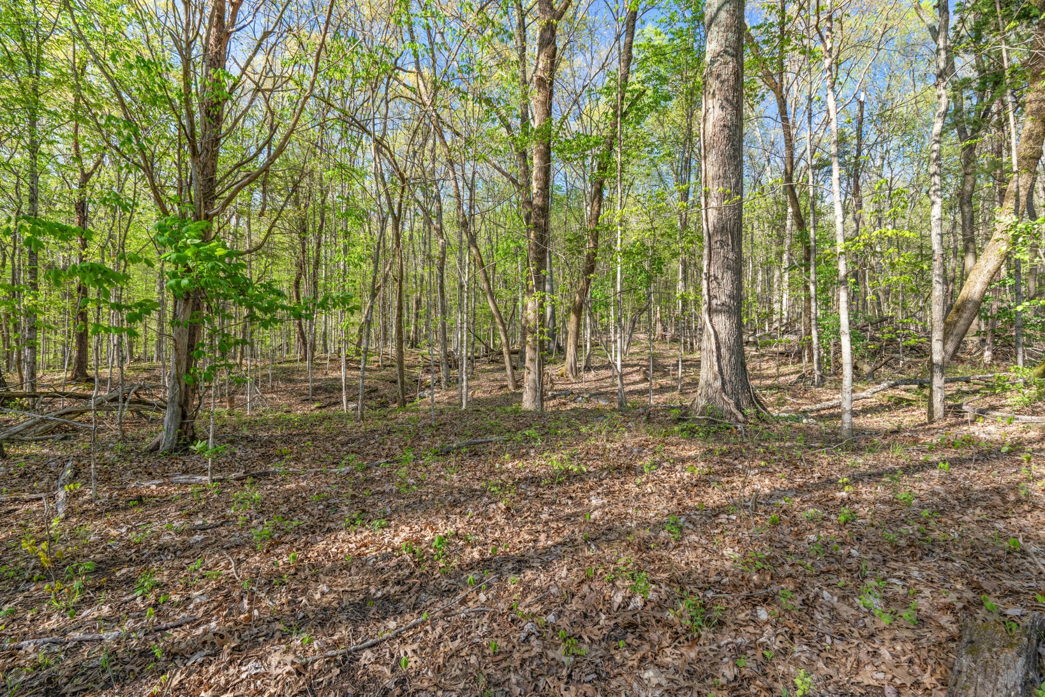 11065 Franklin Road Murfreesboro TN 37128