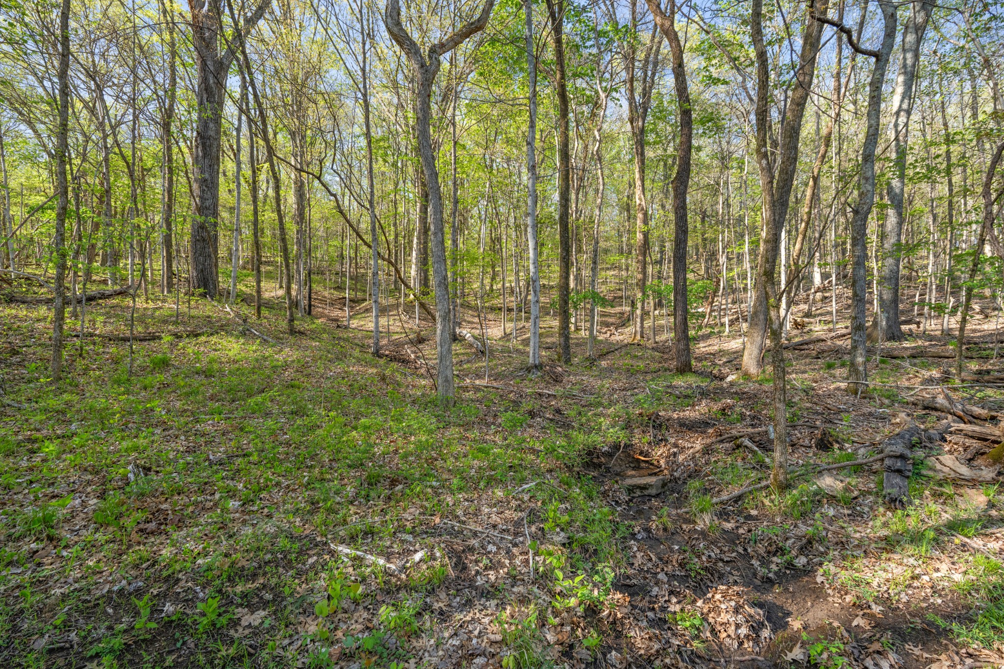 11065 Franklin Road Murfreesboro TN 37128