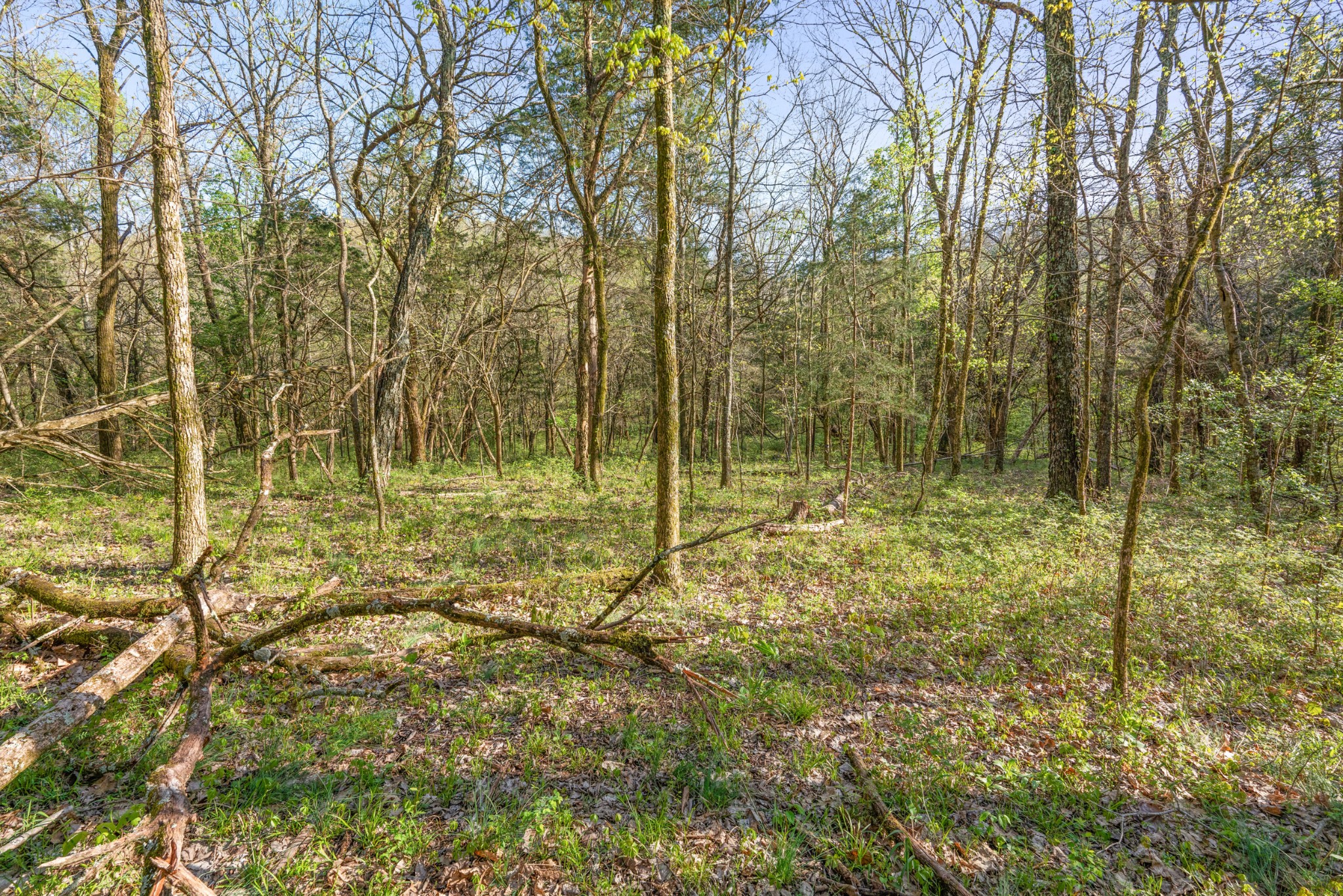 11065 Franklin Road Murfreesboro TN 37128