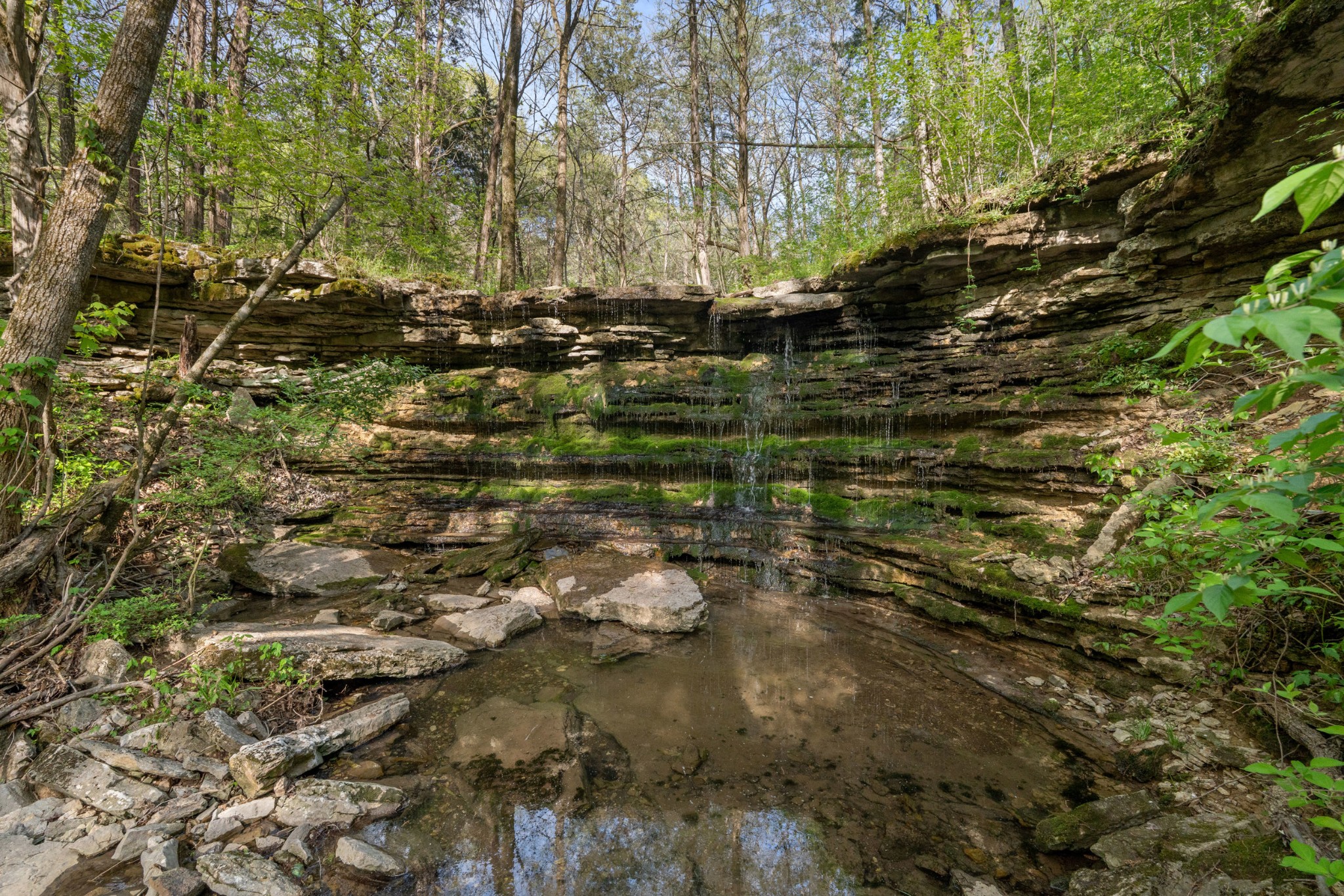 11065 Franklin Road Murfreesboro TN 37128