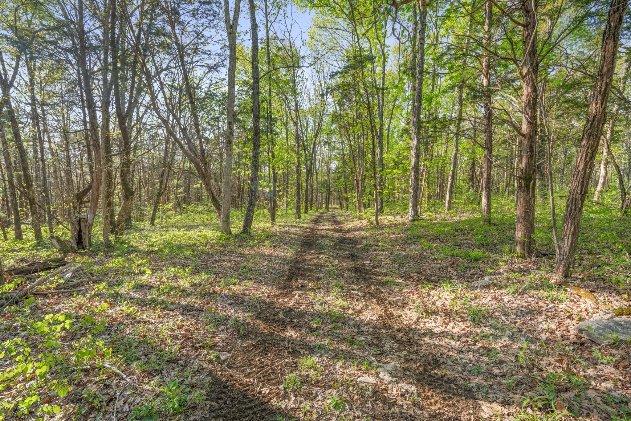 11065 Franklin Road Murfreesboro TN 37128