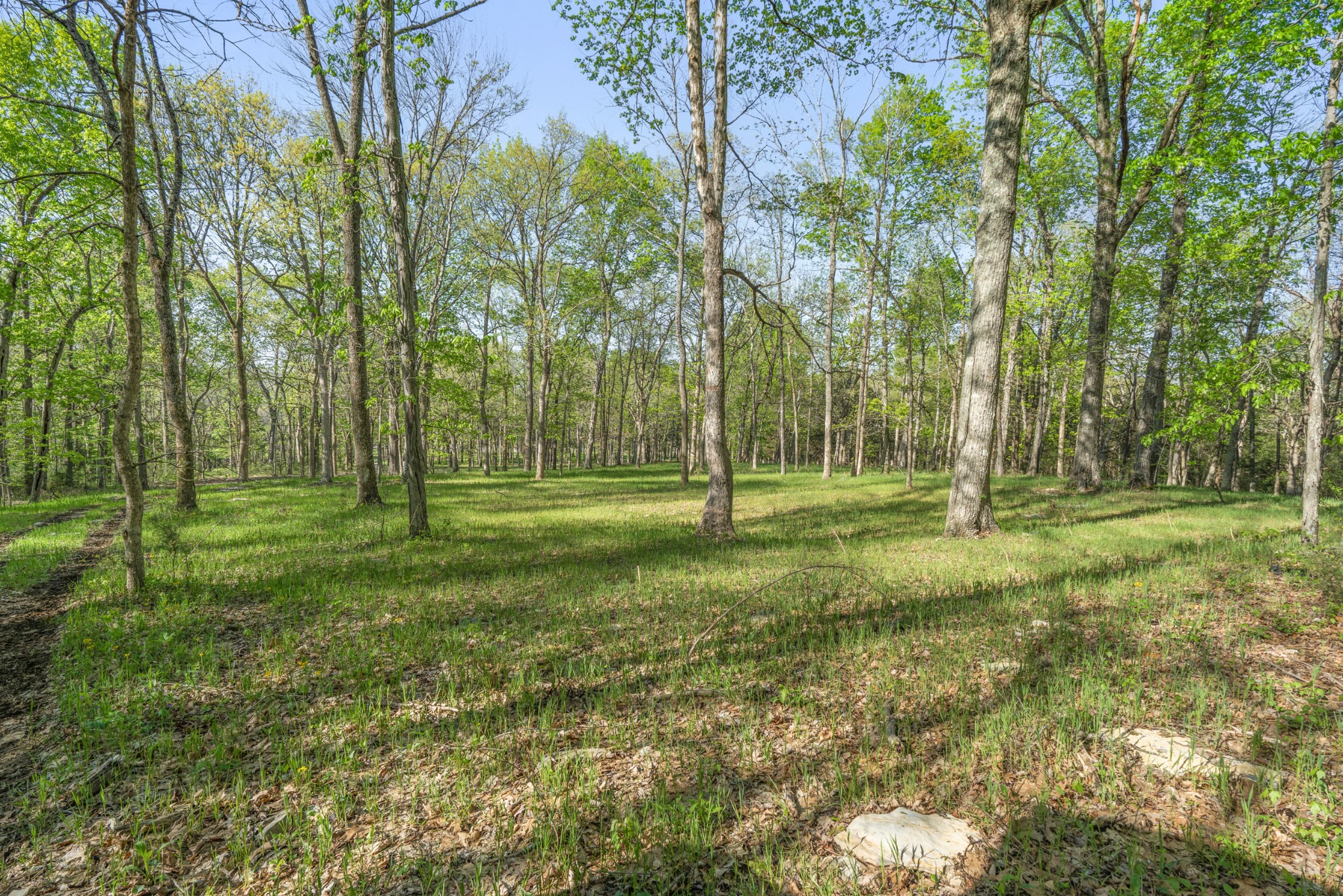 11065 Franklin Road Murfreesboro TN 37128