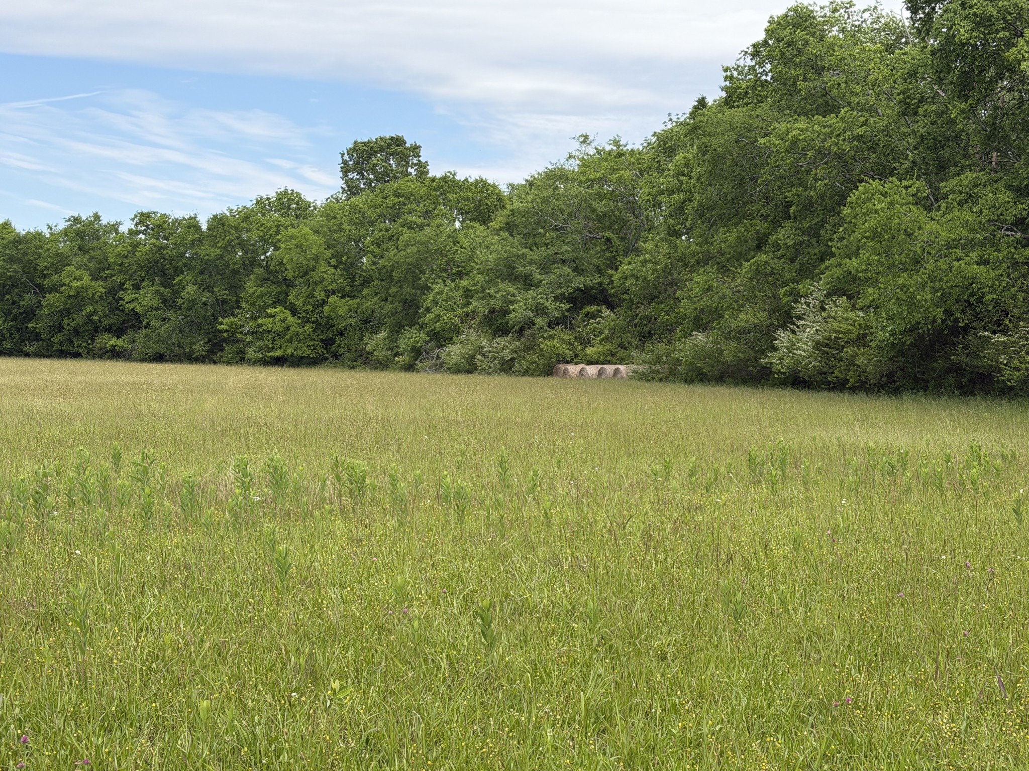 0 Madison Creek Road Goodlettsville TN 37072