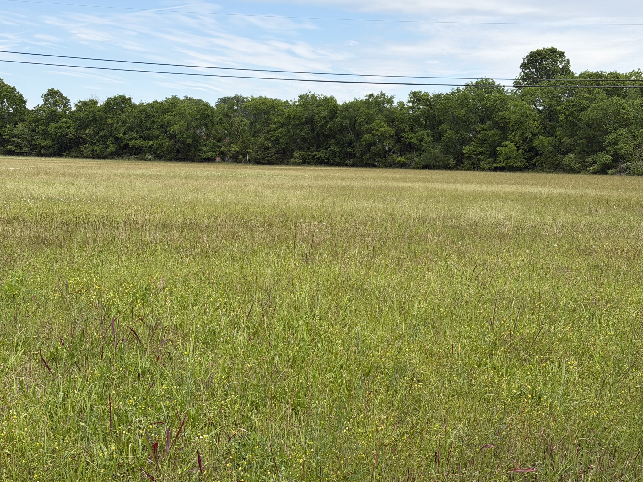 0 Madison Creek Road Goodlettsville TN 37072