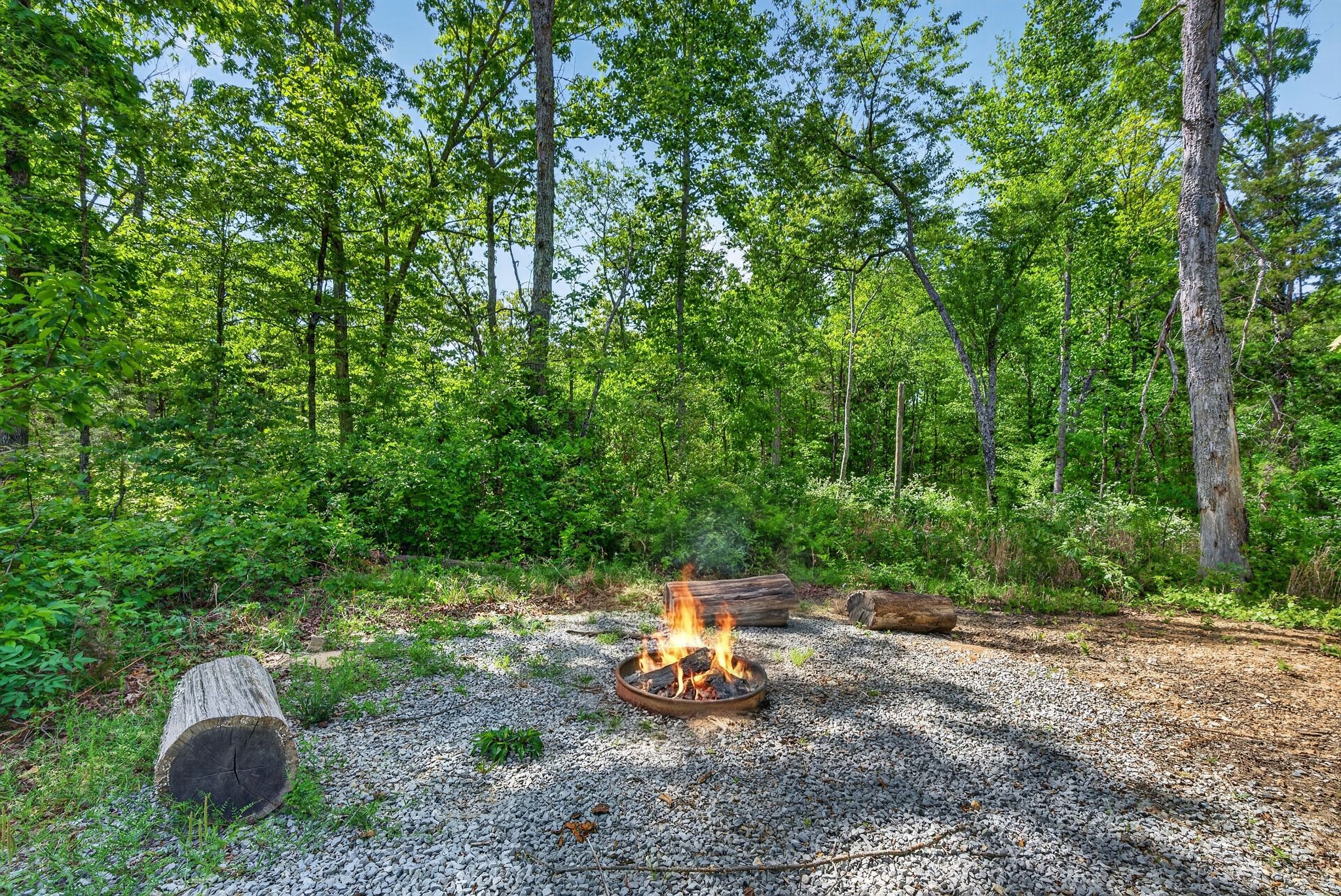 1030 Johnson Hollow Road Mc Ewen TN 37101