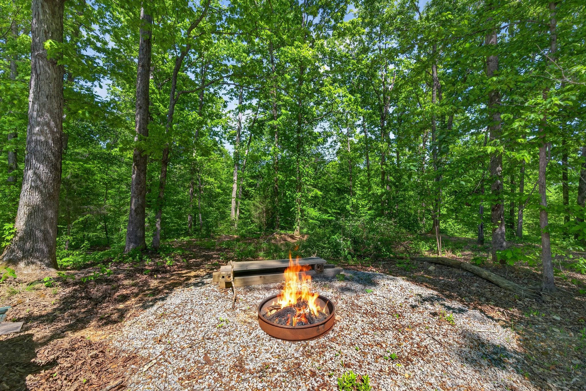 1030 Johnson Hollow Road Mc Ewen TN 37101