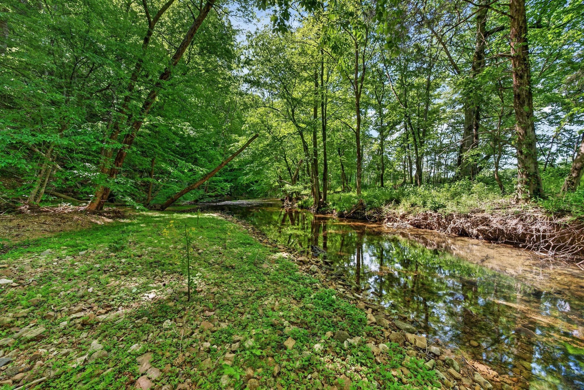1030 Johnson Hollow Road Mc Ewen TN 37101