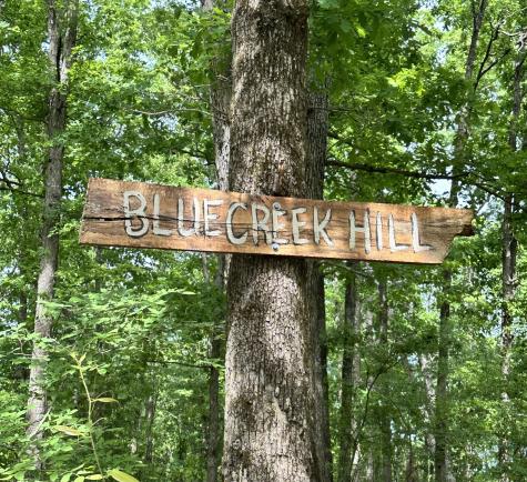 1030 Johnson Hollow Road Mc Ewen TN 37101
