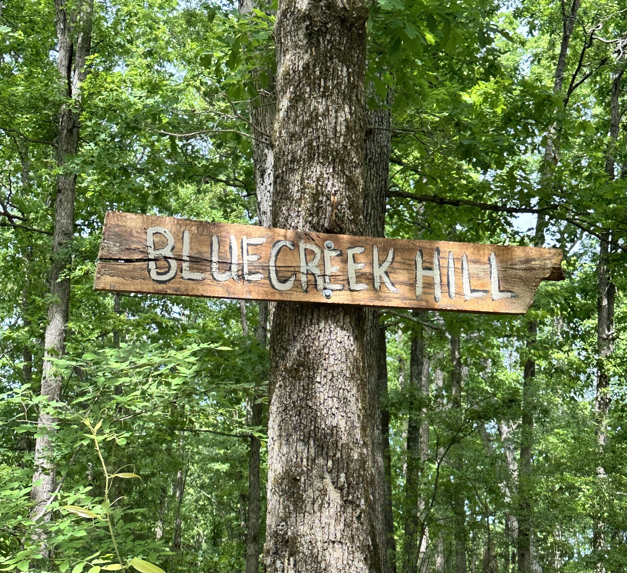 1030 Johnson Hollow Road Mc Ewen TN 37101