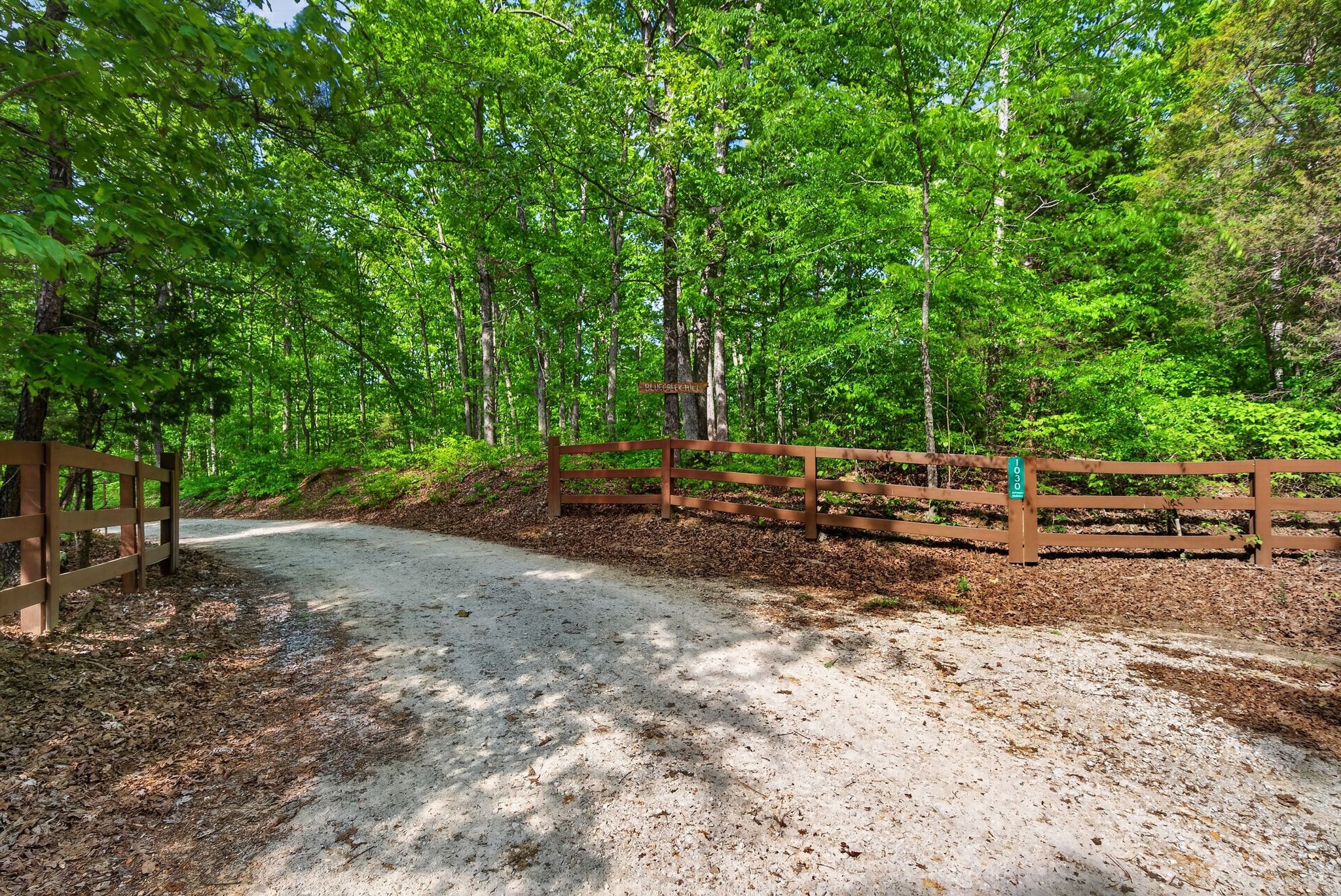 1030 Johnson Hollow Road Mc Ewen TN 37101