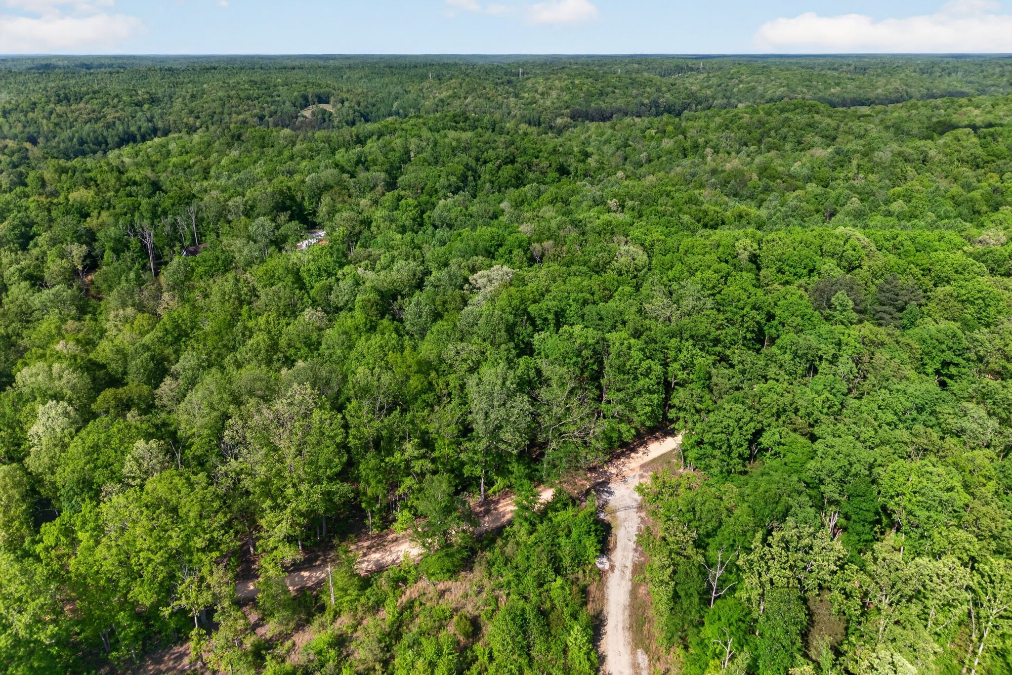 1030 Johnson Hollow Road Mc Ewen TN 37101