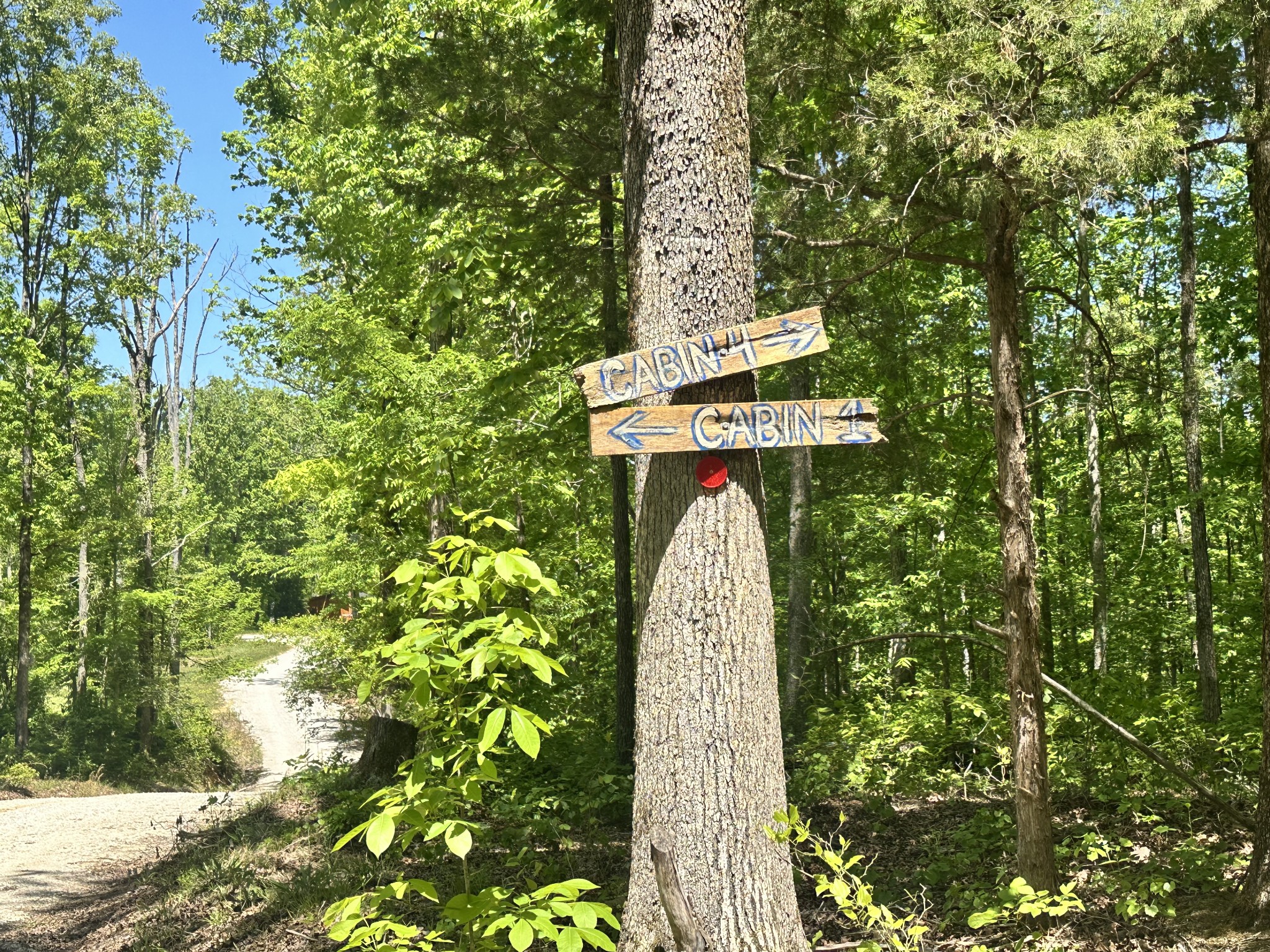 1030 Johnson Hollow Road Mc Ewen TN 37101