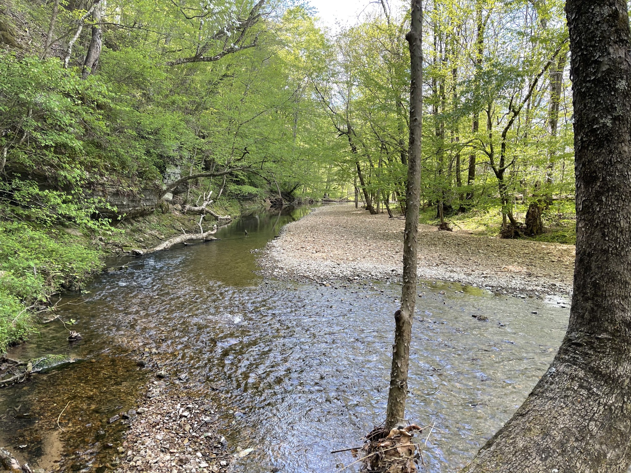 1030 Johnson Hollow Road Mc Ewen TN 37101