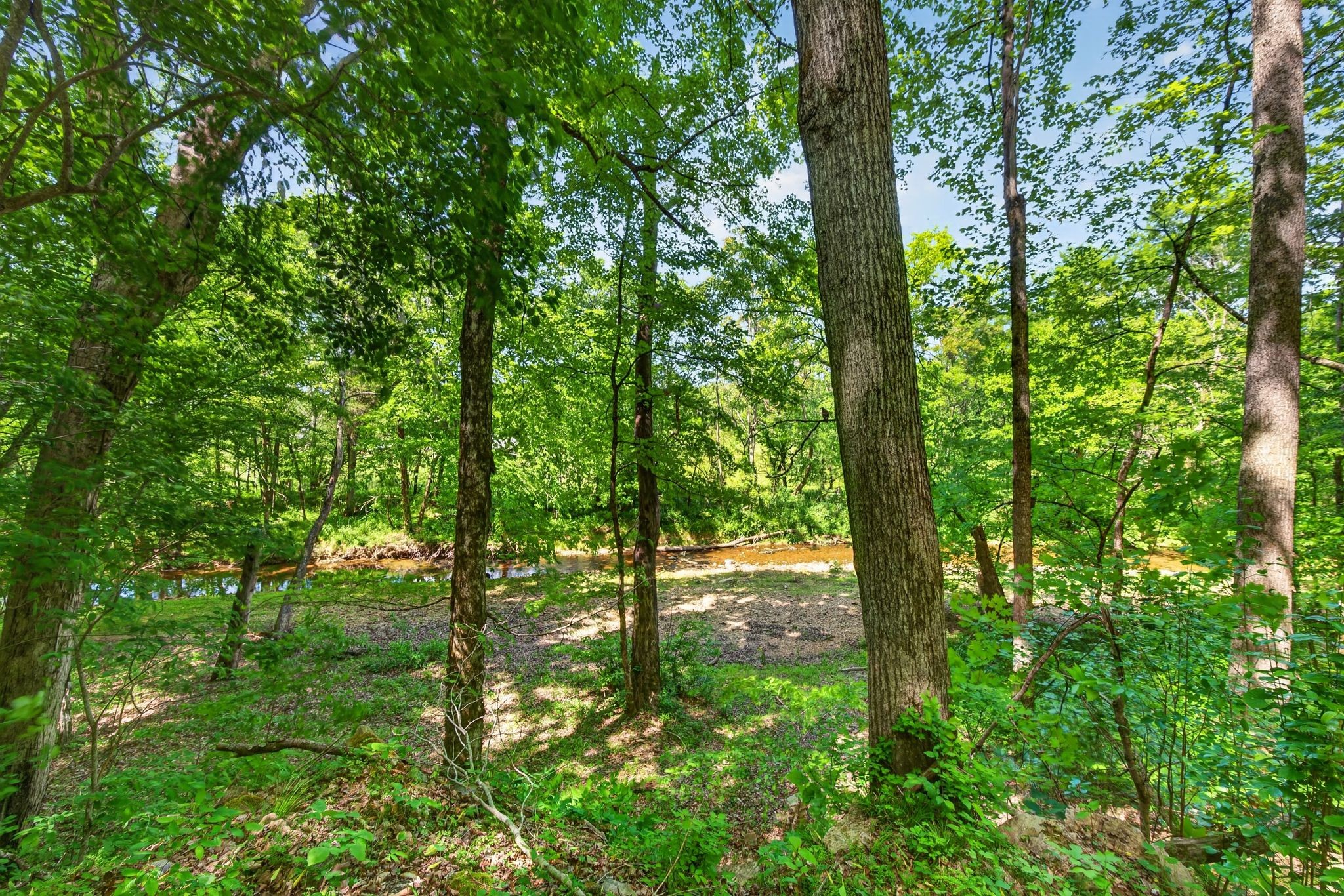 1030 Johnson Hollow Road Mc Ewen TN 37101