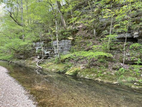 1030 Johnson Hollow Road Mc Ewen TN 37101