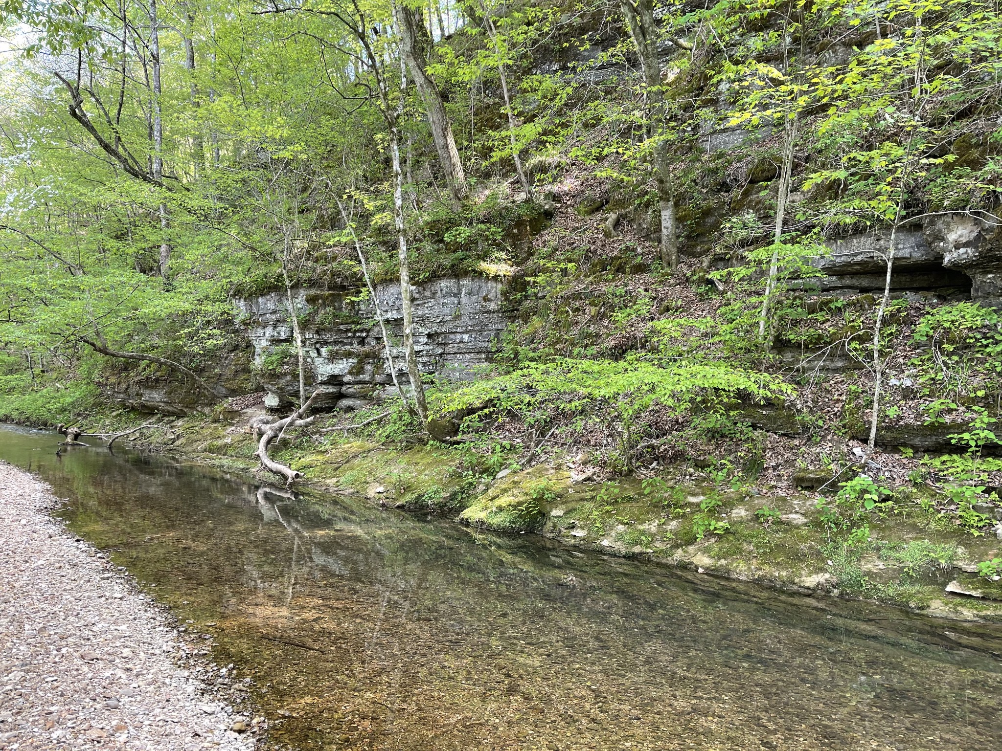 1030 Johnson Hollow Road Mc Ewen TN 37101