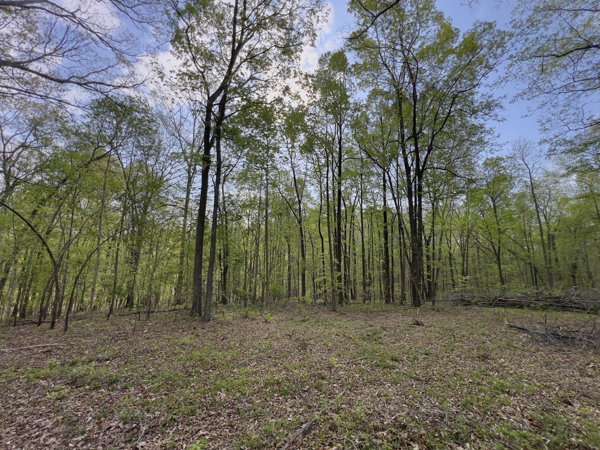0 Valley Road Fairview TN 37062