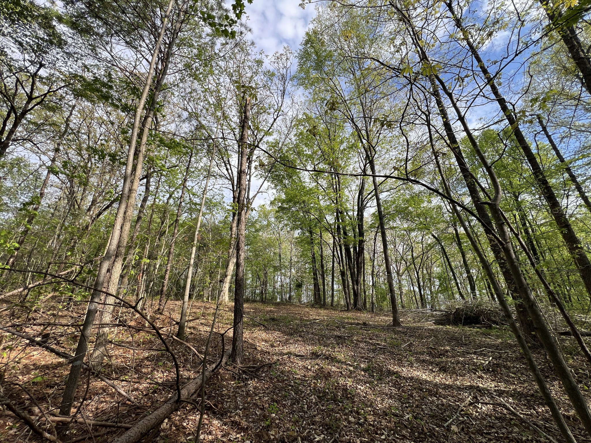 0 Valley Road Fairview TN 37062