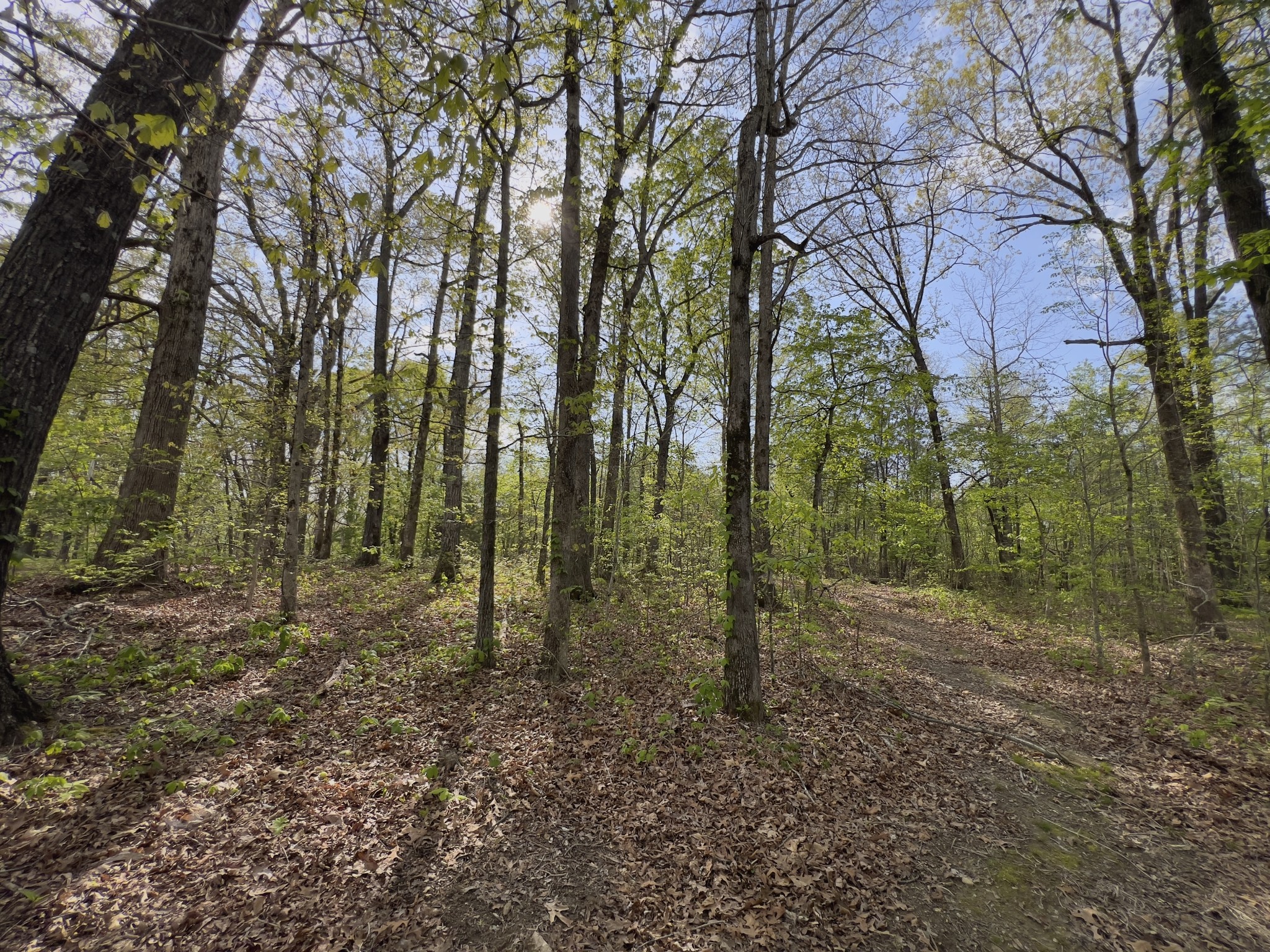 0 Valley Road Fairview TN 37062
