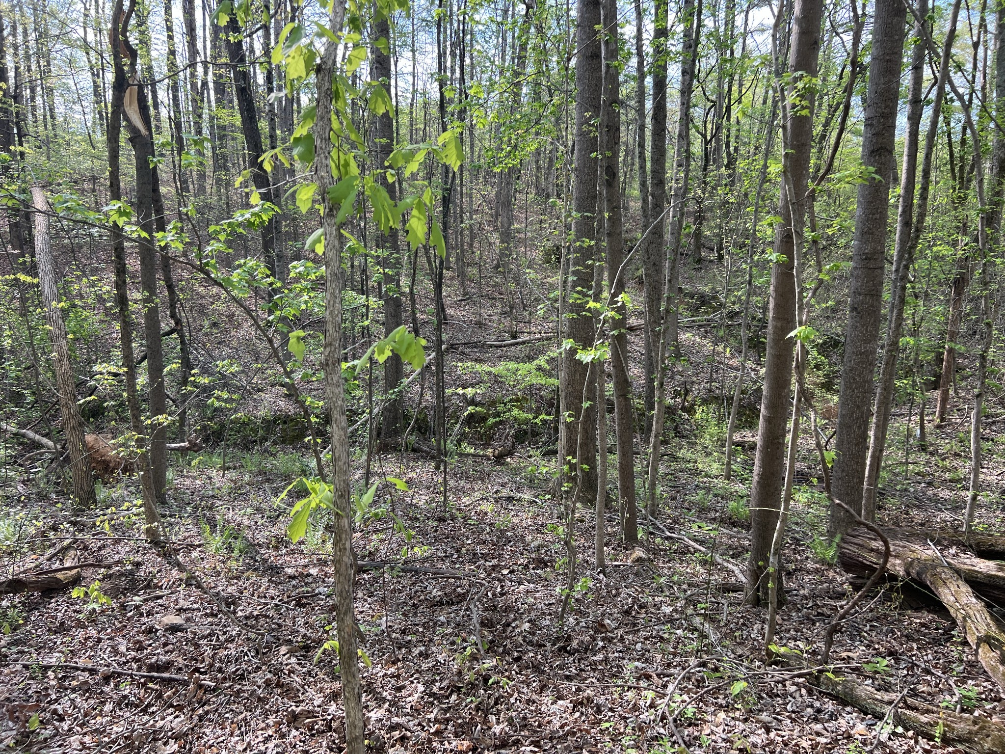 0 Valley Road Fairview TN 37062