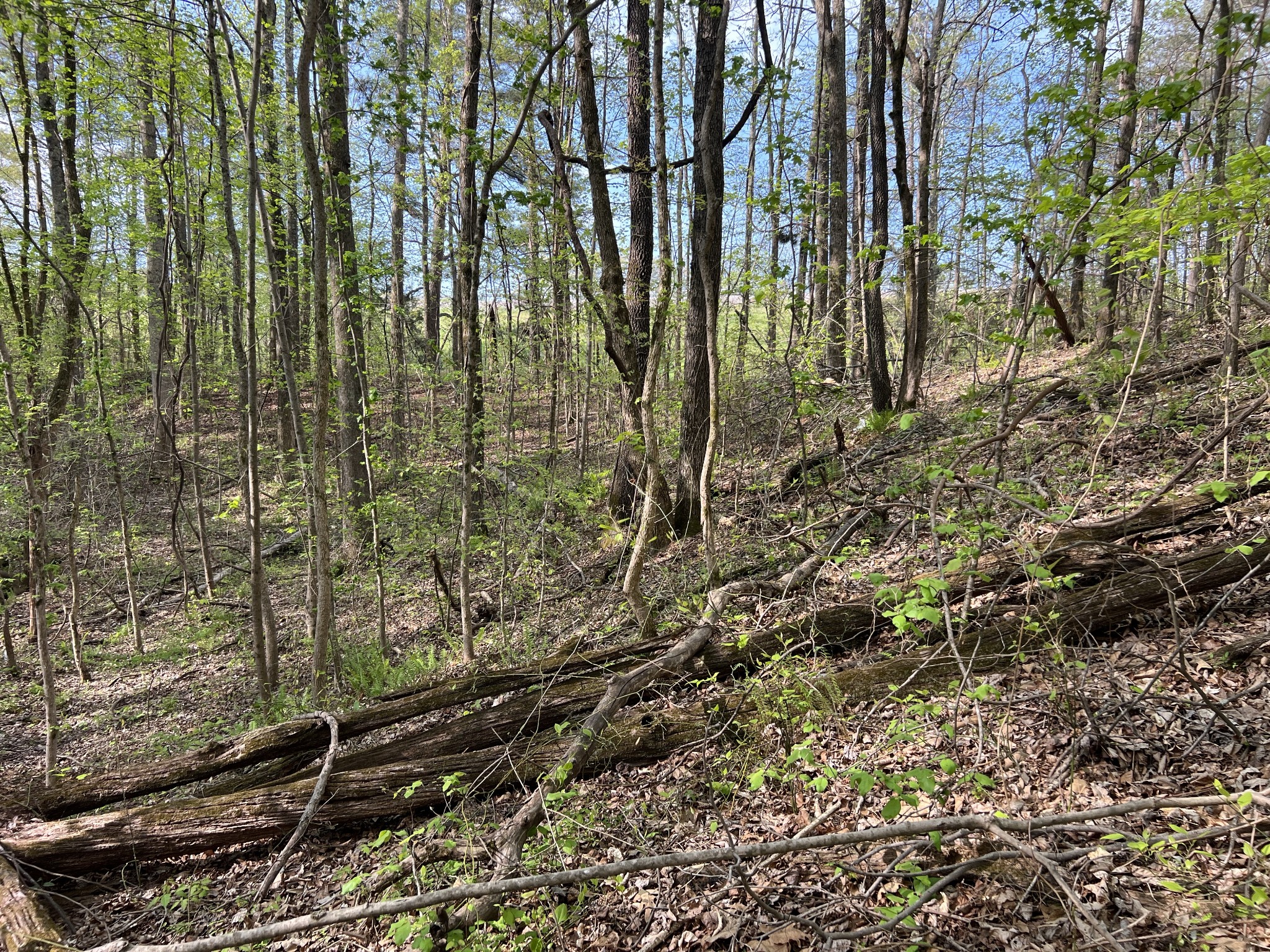 0 Valley Road Fairview TN 37062