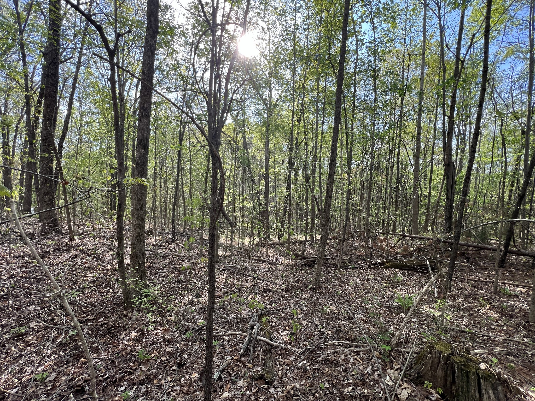 0 Valley Road Fairview TN 37062