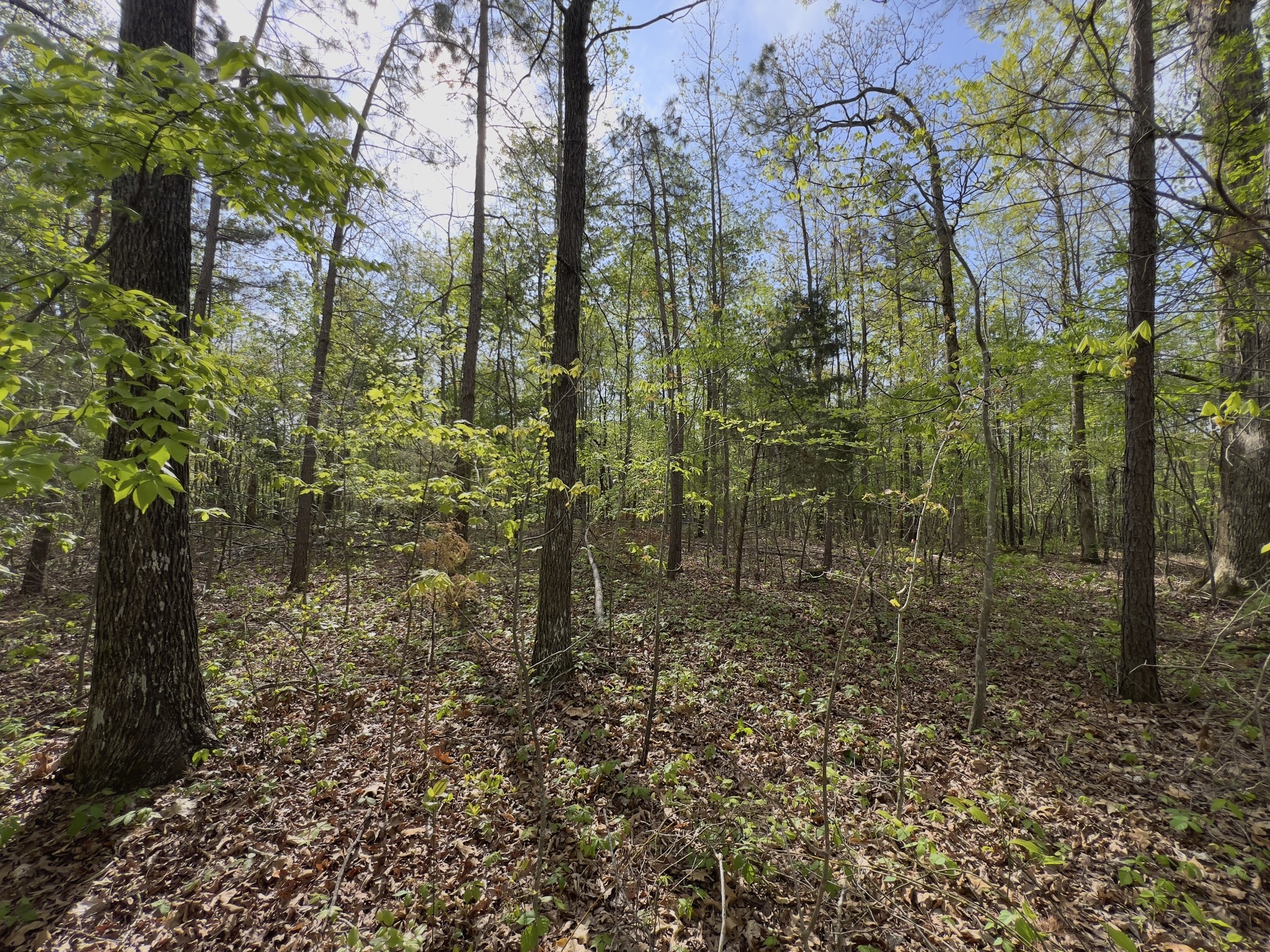 0 Valley Road Fairview TN 37062