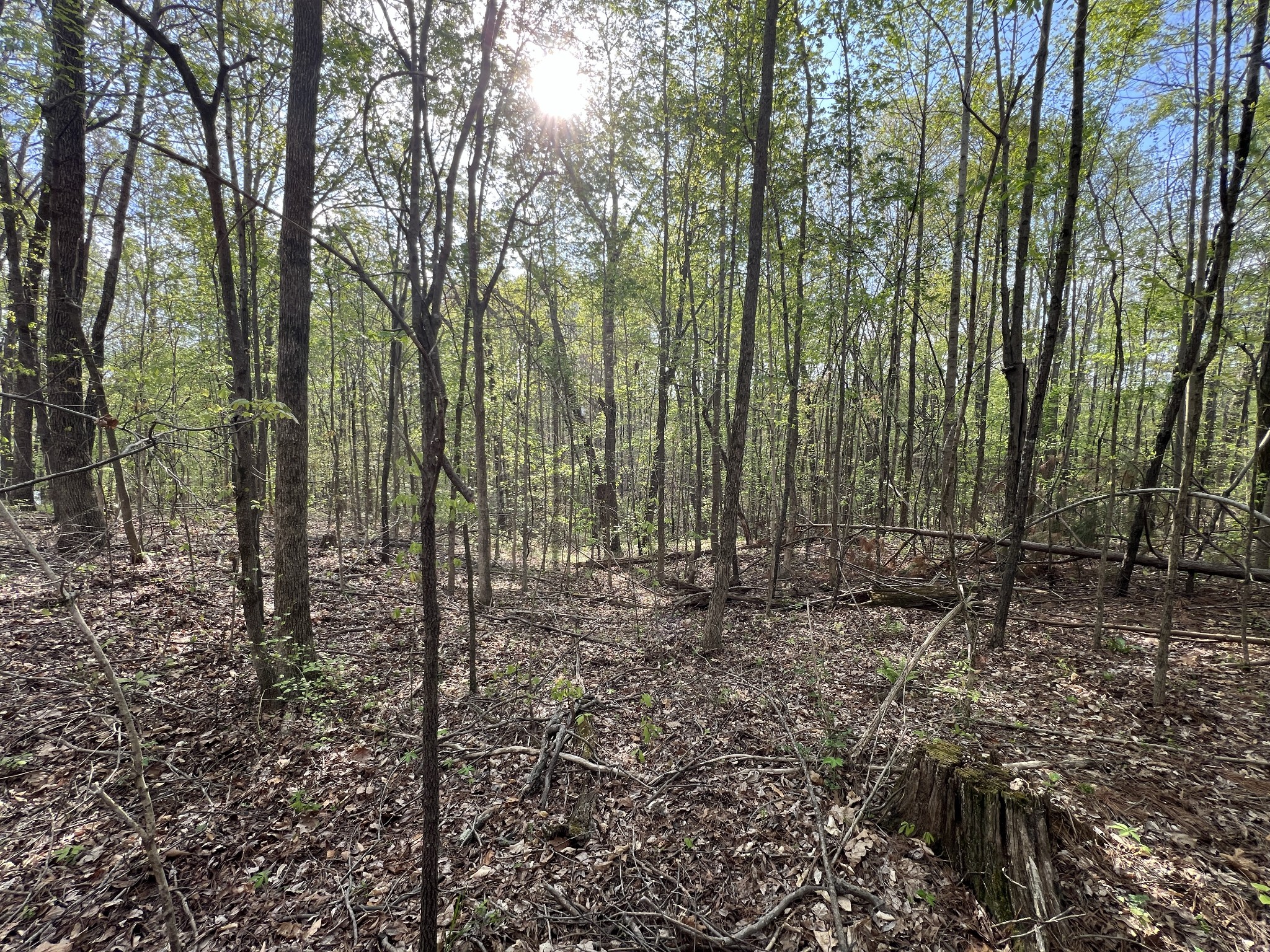 0 Valley Road Fairview TN 37062